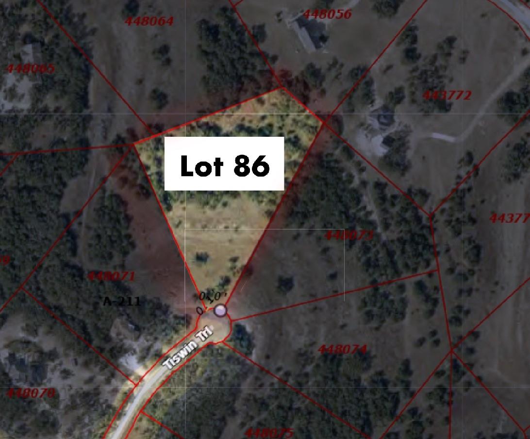 768 Tiswin Trl, Blanco, TX 78606