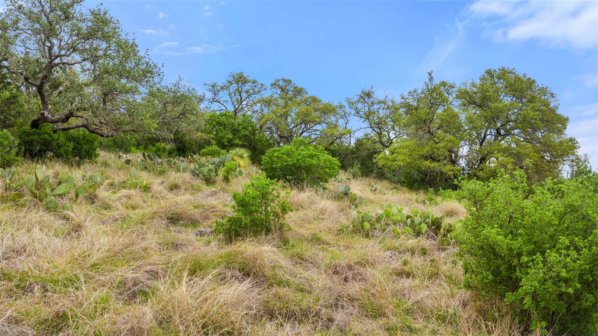 452 River View Dr, Johnson City, TX 78636