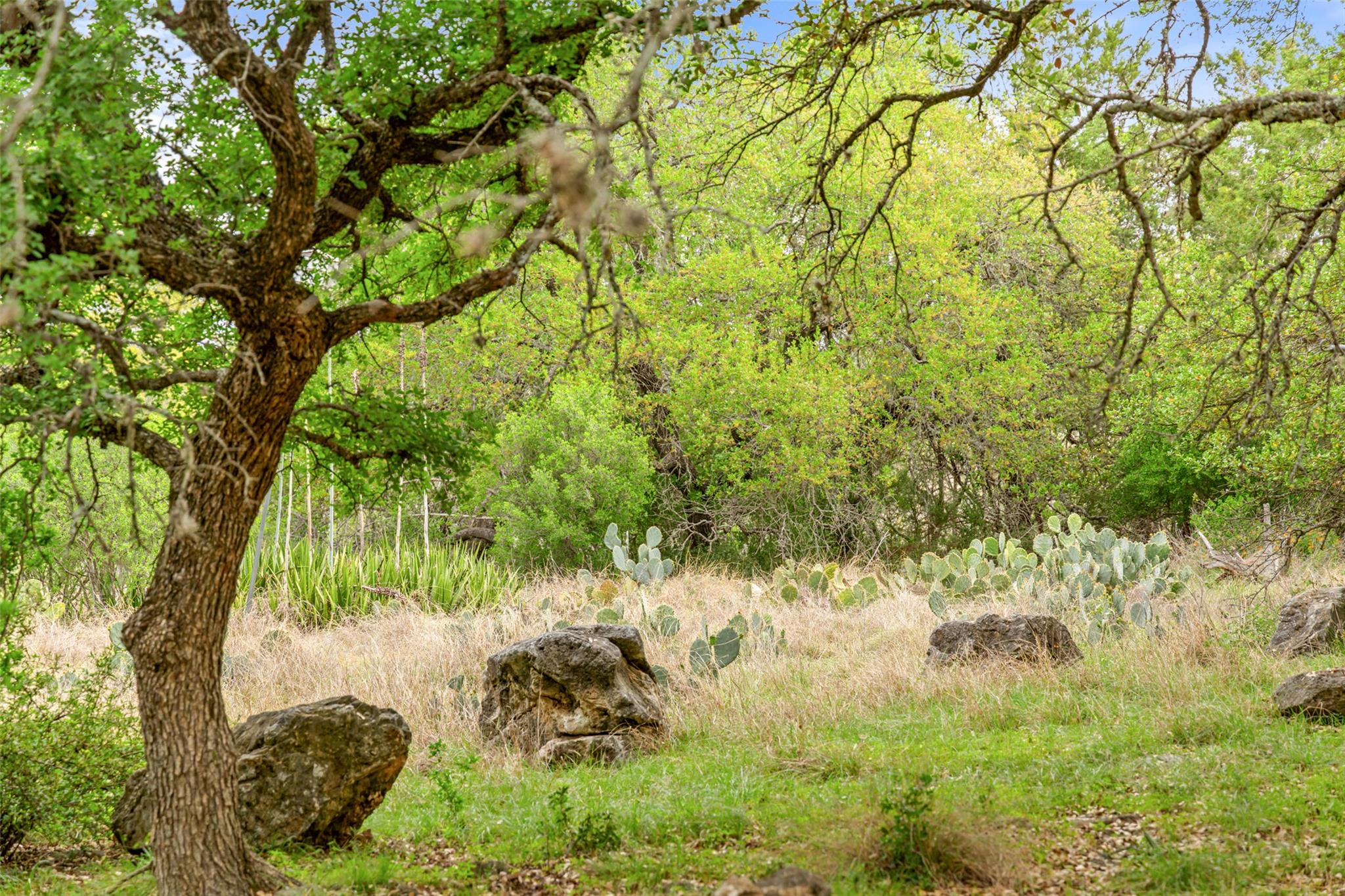 452 River View Dr, Johnson City, TX 78636