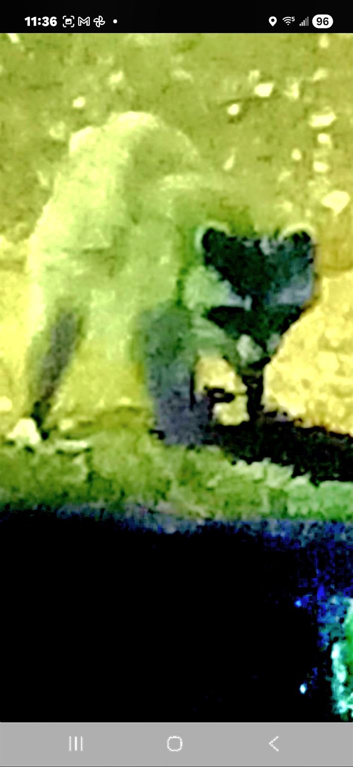 1332 Johnson Rd, Canyon Lake, TX 78133