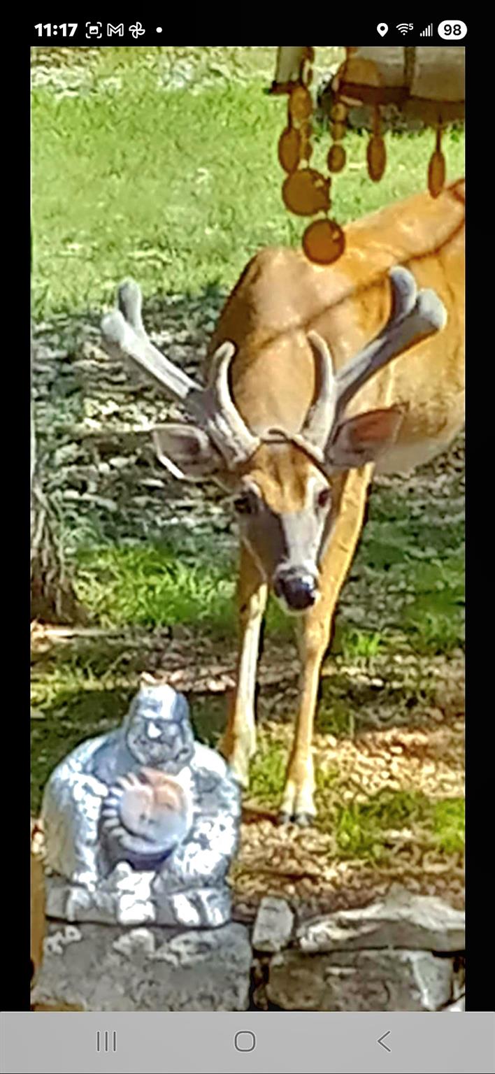 1332 Johnson Rd, Canyon Lake, TX 78133