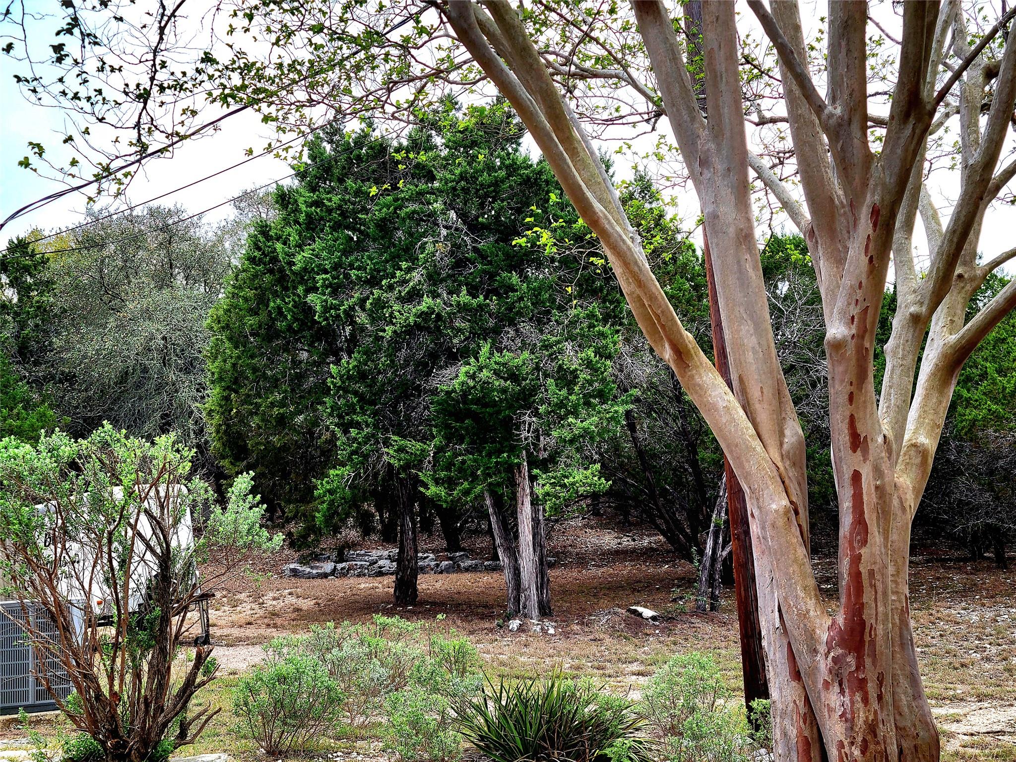 1332 Johnson Rd, Canyon Lake, TX 78133