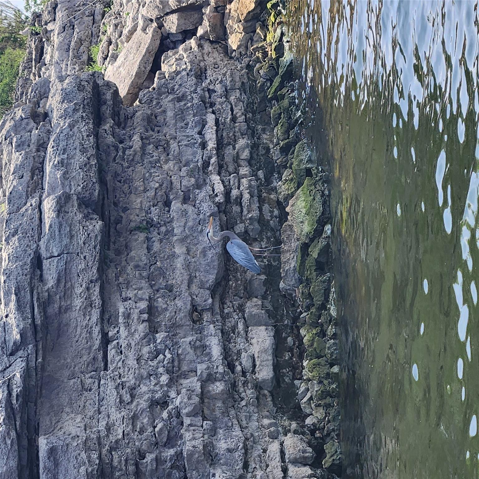 3404 American Dr # 3202, Lago Vista, TX 78645