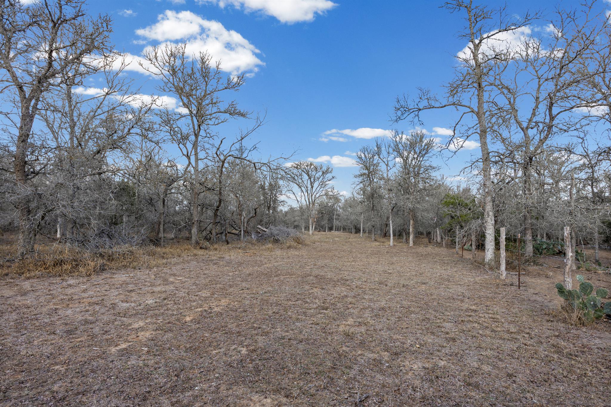 TBD Sneed Ln, Dale, TX 78616