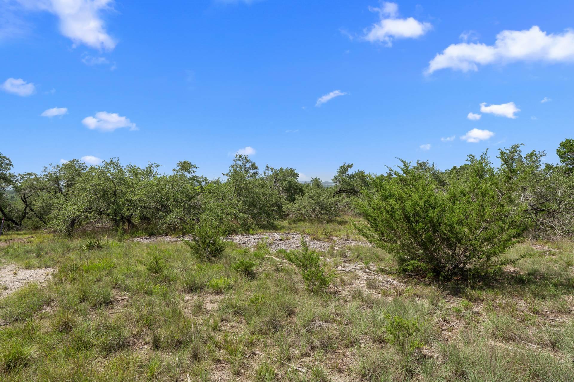 31860 Mirela Ann Rd, Dripping Springs, TX 78620