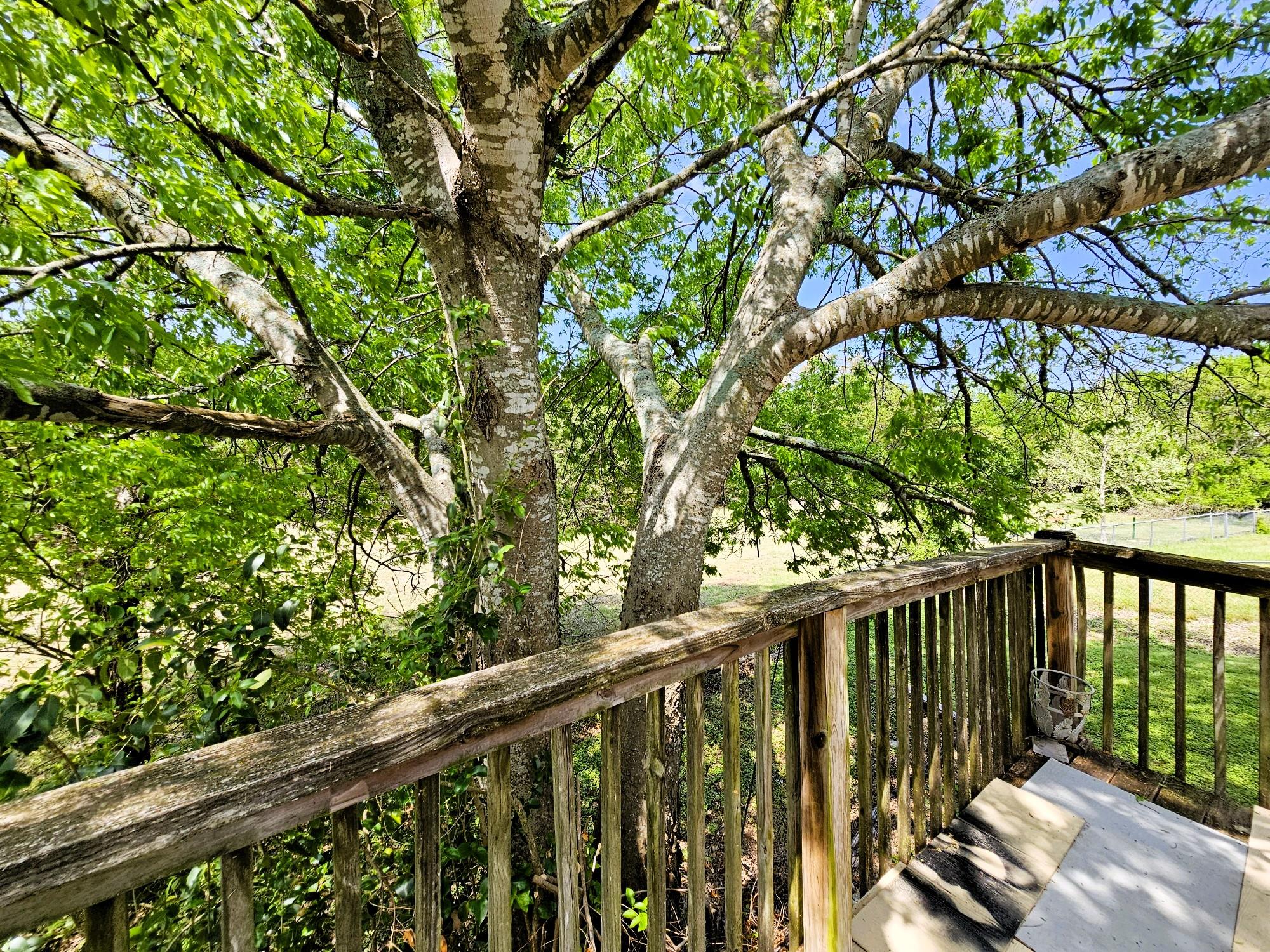 218 Atkinson Ave, Copperas Cove, TX 76522