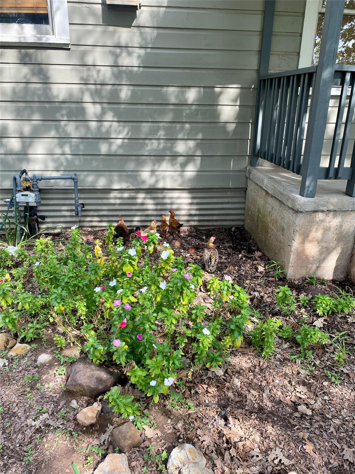 1805 Garfield St, Bastrop, TX 78602