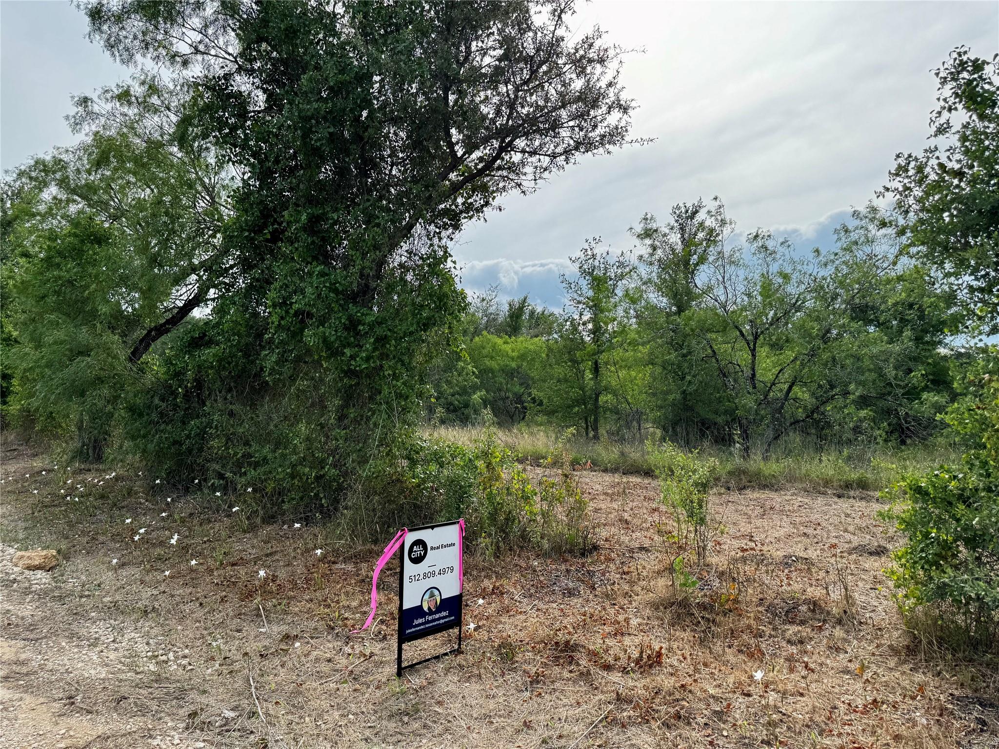 271 Crooked Rd, Dale, TX 78616