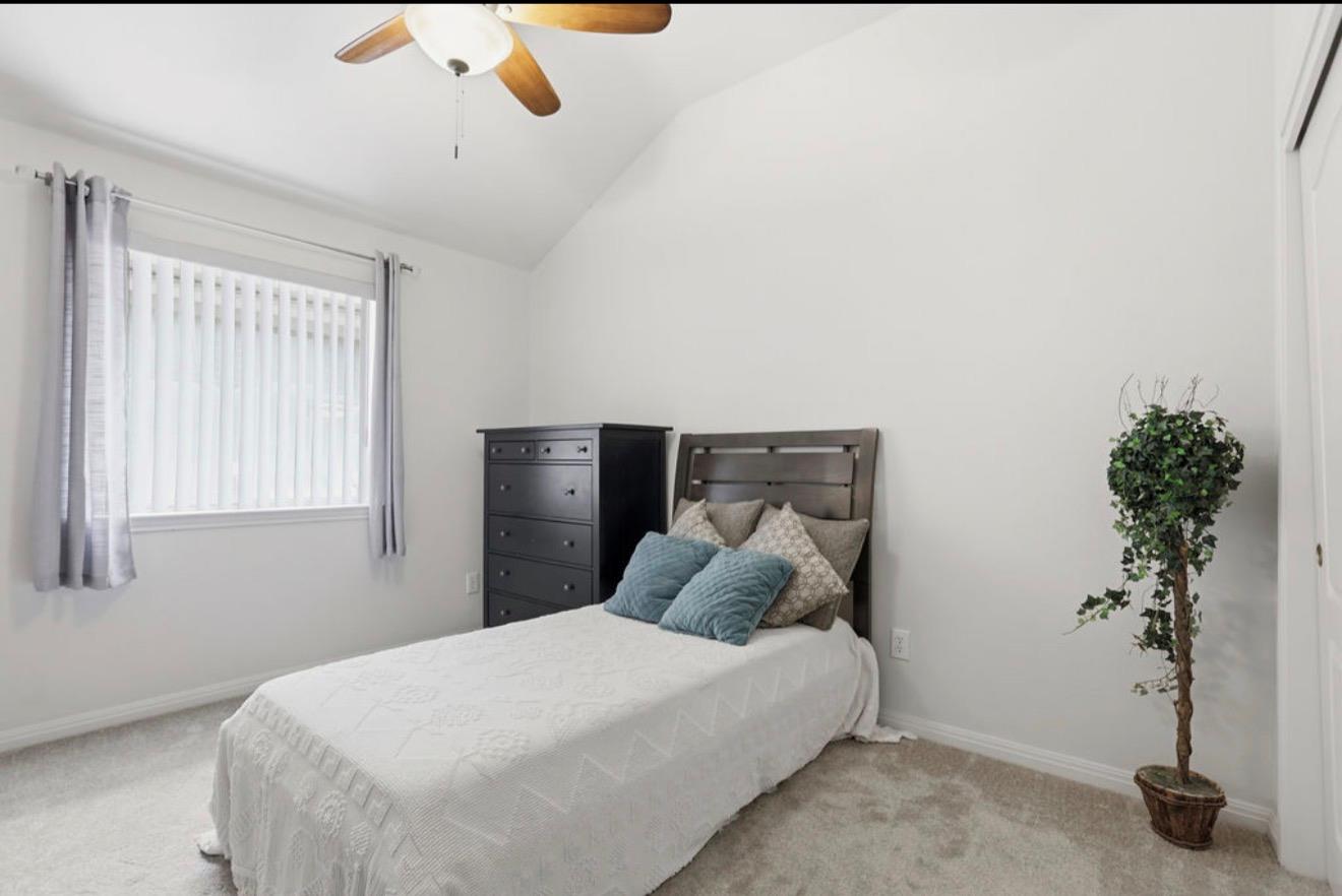 3725 Cheyenne St, Round Rock, TX 78665