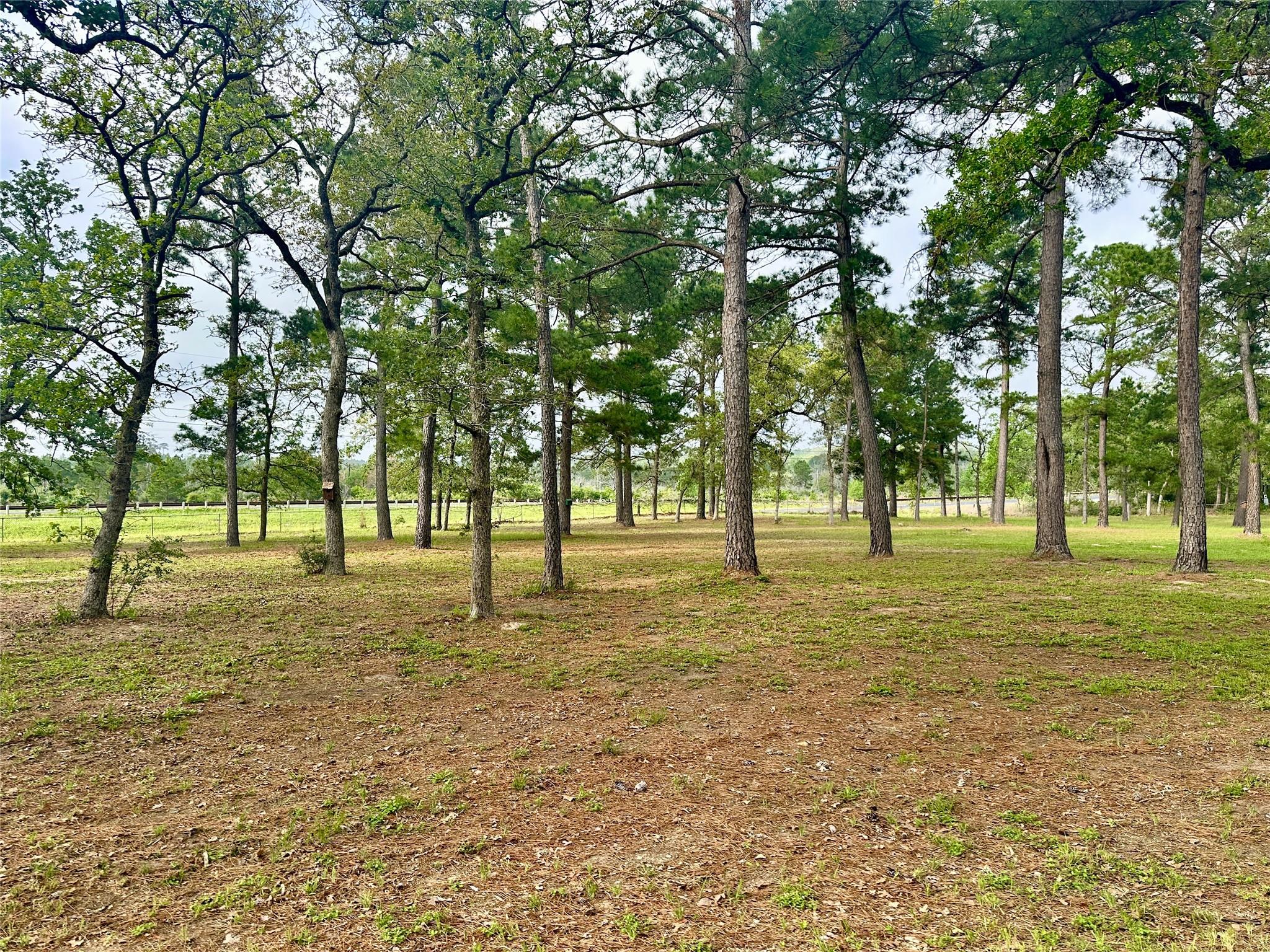 890 Highway 21 E, Bastrop, TX 78602