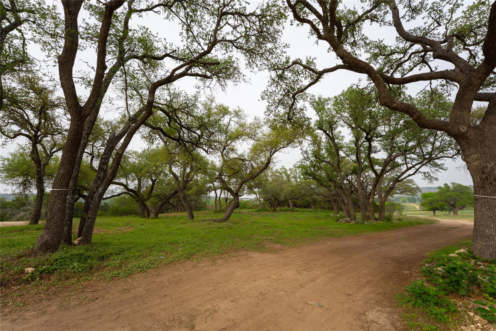 LOT 27 Ranch Road 165, Blanco, TX 78606