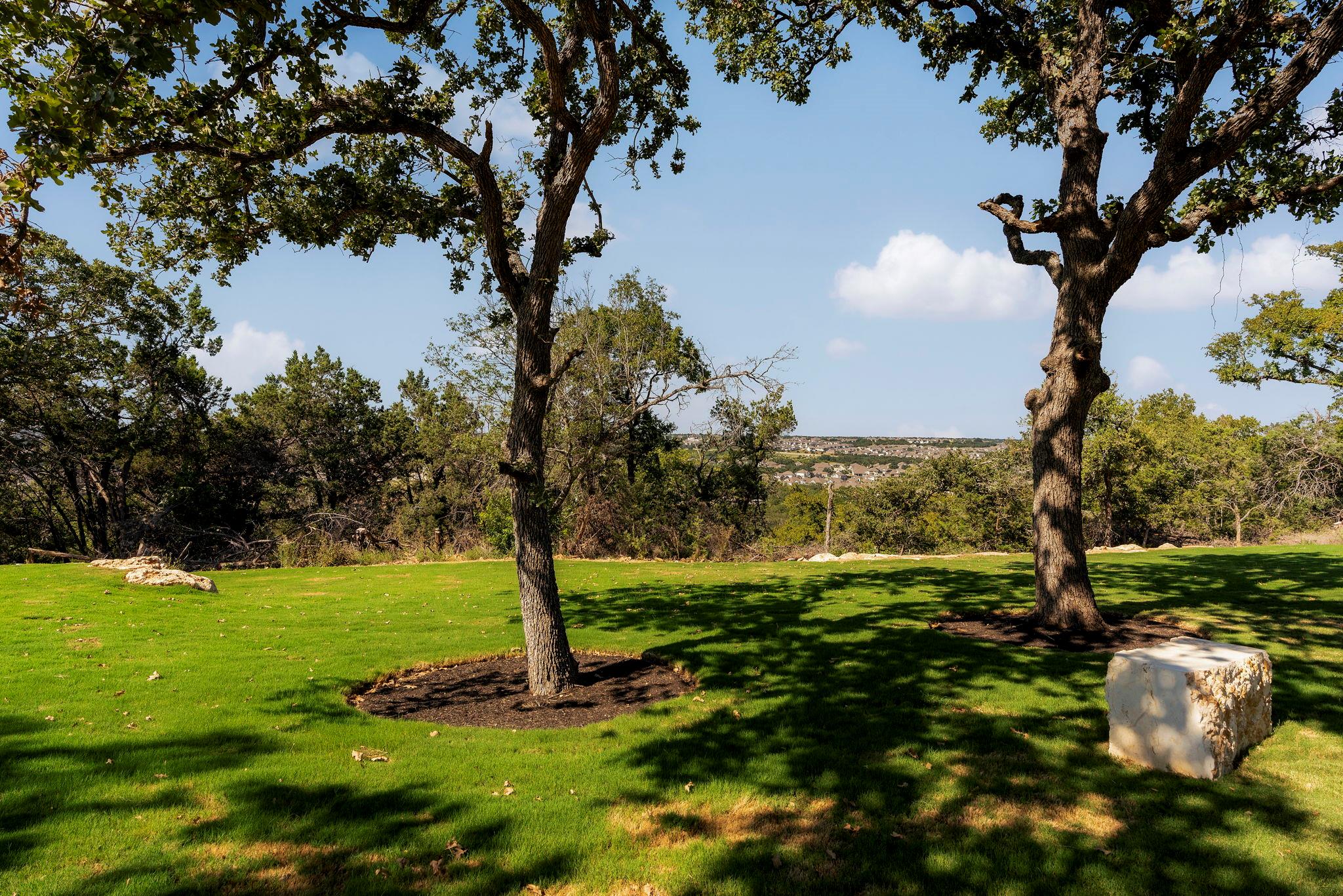 2433 Carretera Dr, Leander, TX 78641