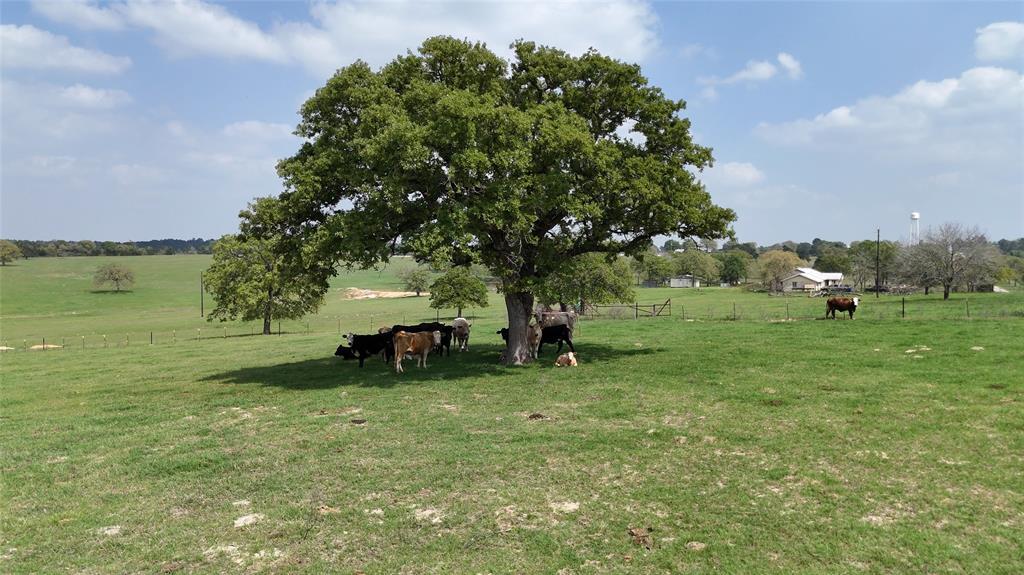 2792 Fm 535, Rosanky, TX 78953