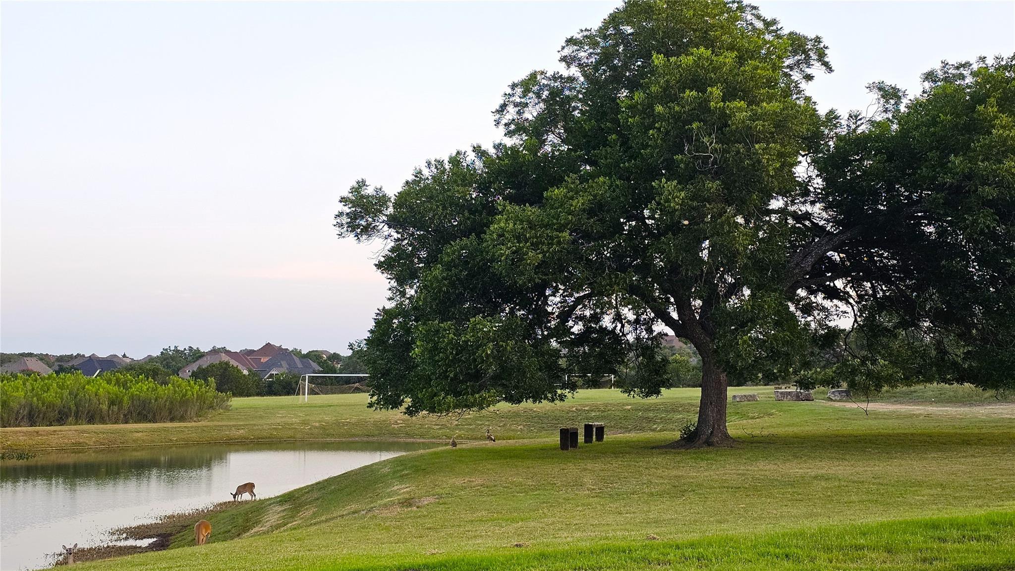 236 Egret Ln, Austin, TX 78737