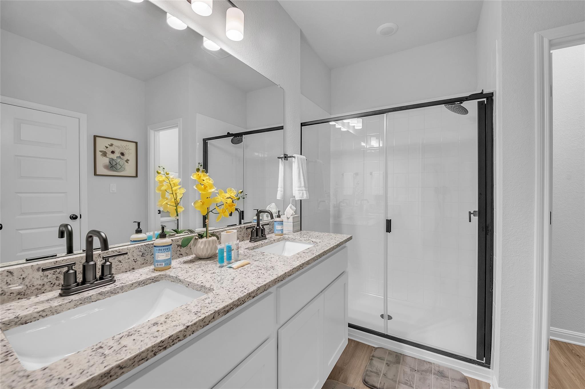 2421 Amara Levi Ln, Round Rock, TX 78665