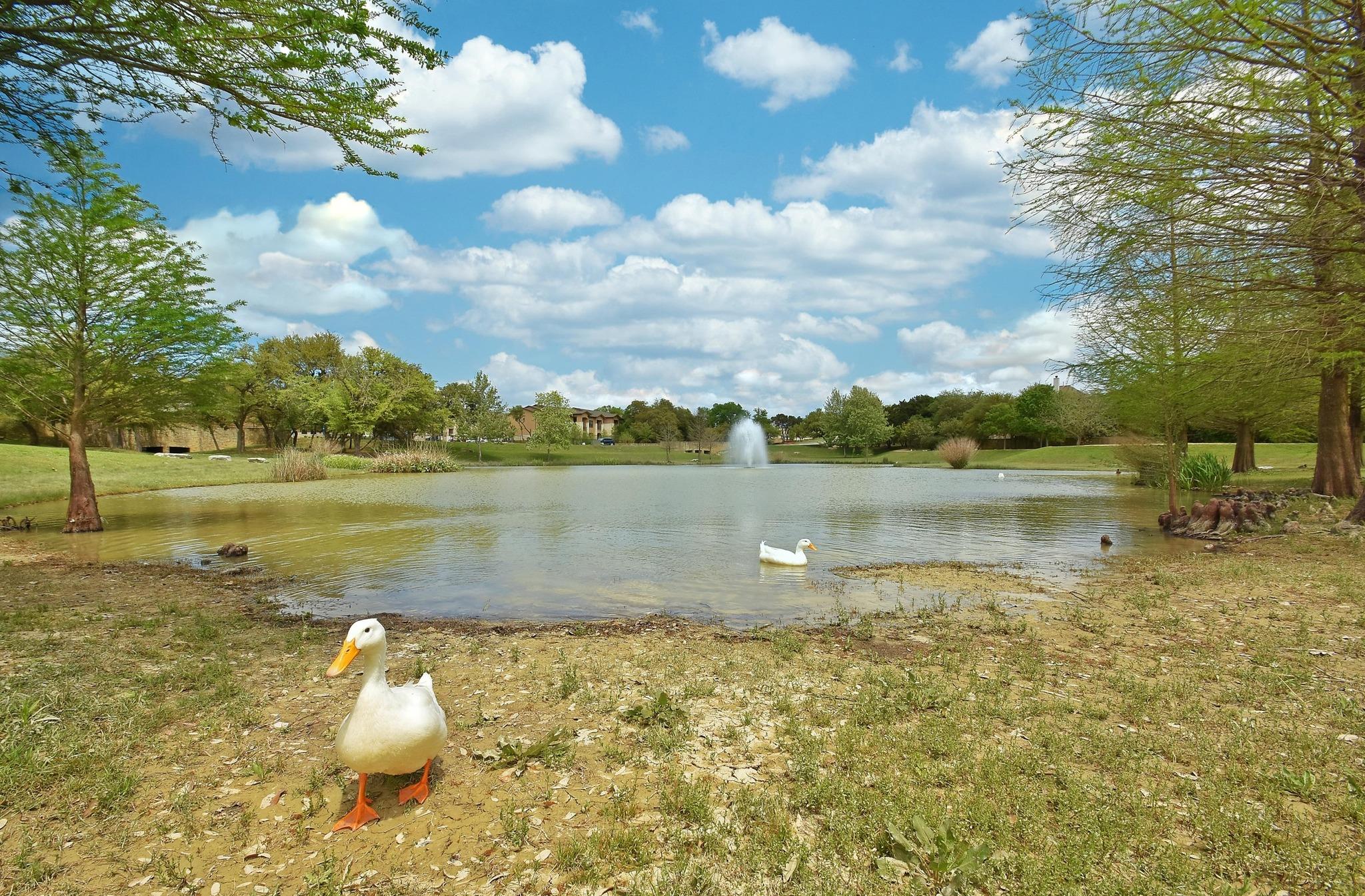 301 Grafton Ln, Austin, TX 78737