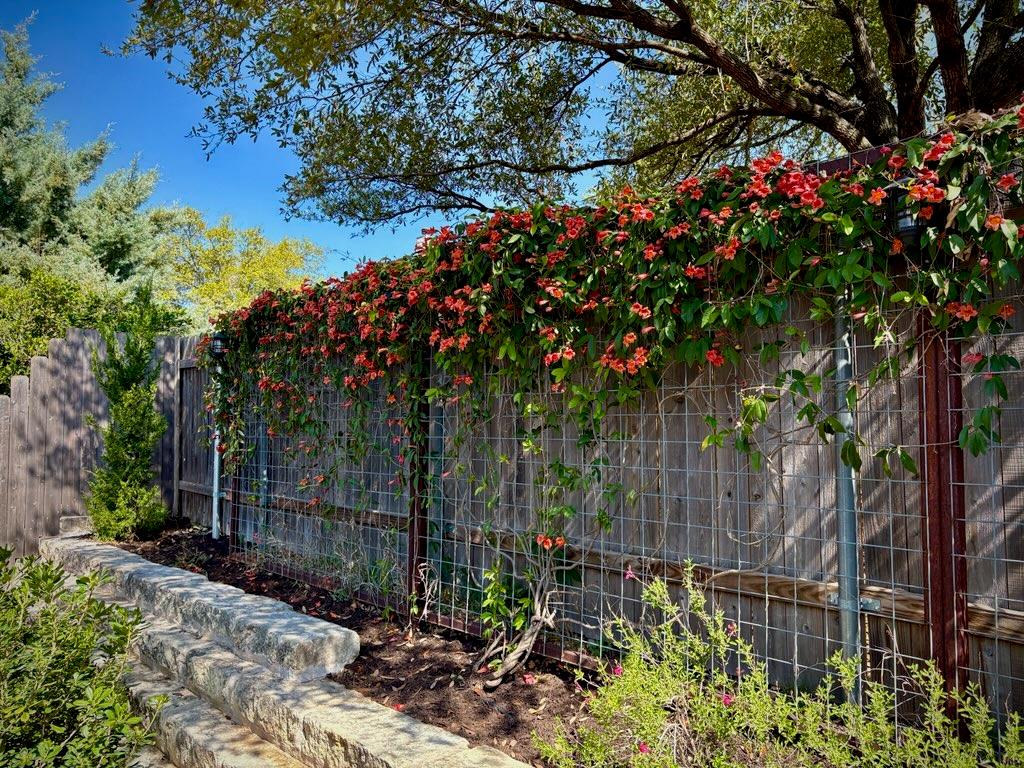 408 Kissing Oak Dr, Austin, TX 78748