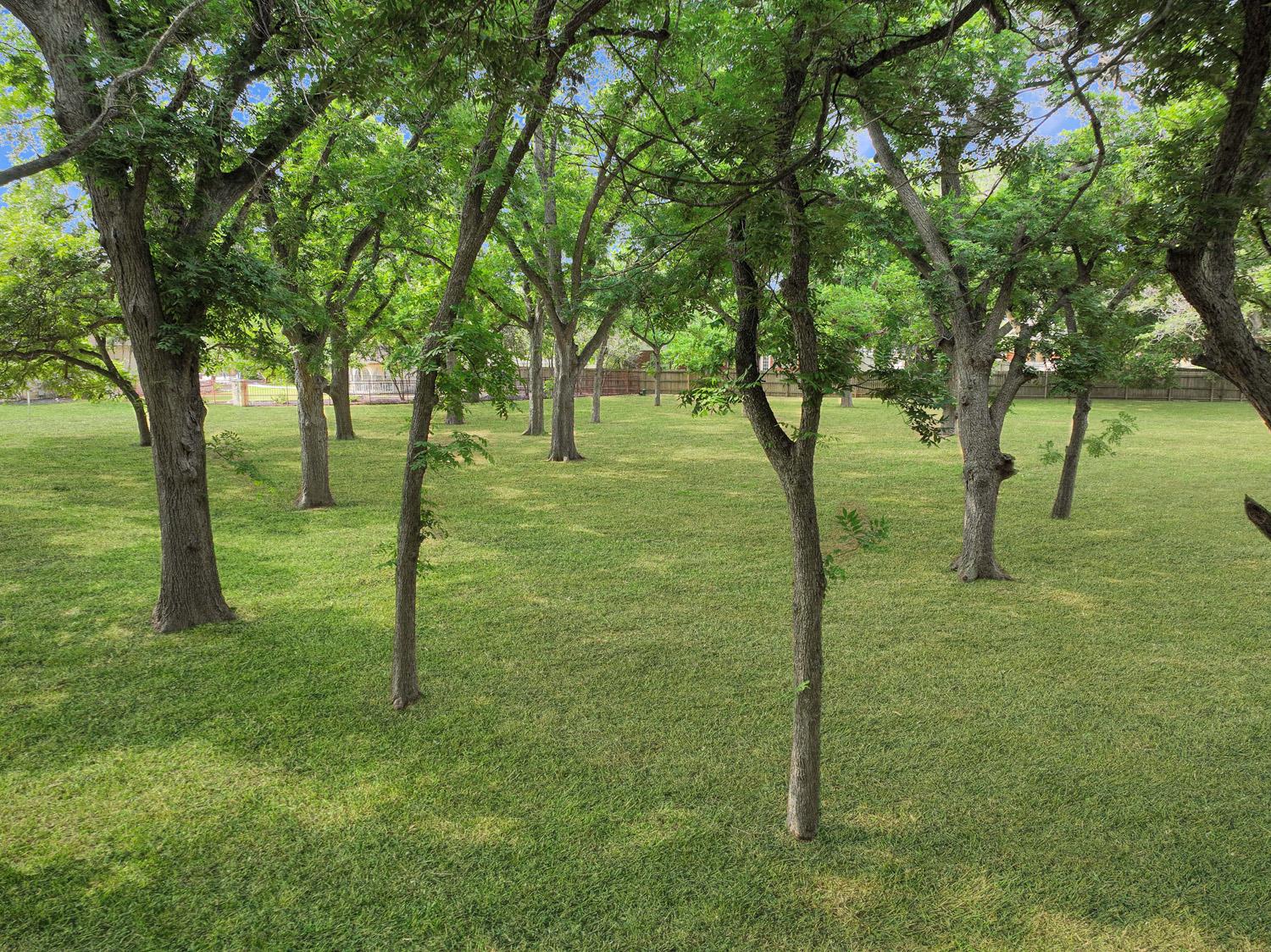 127 Milagros, Seguin, TX 78155