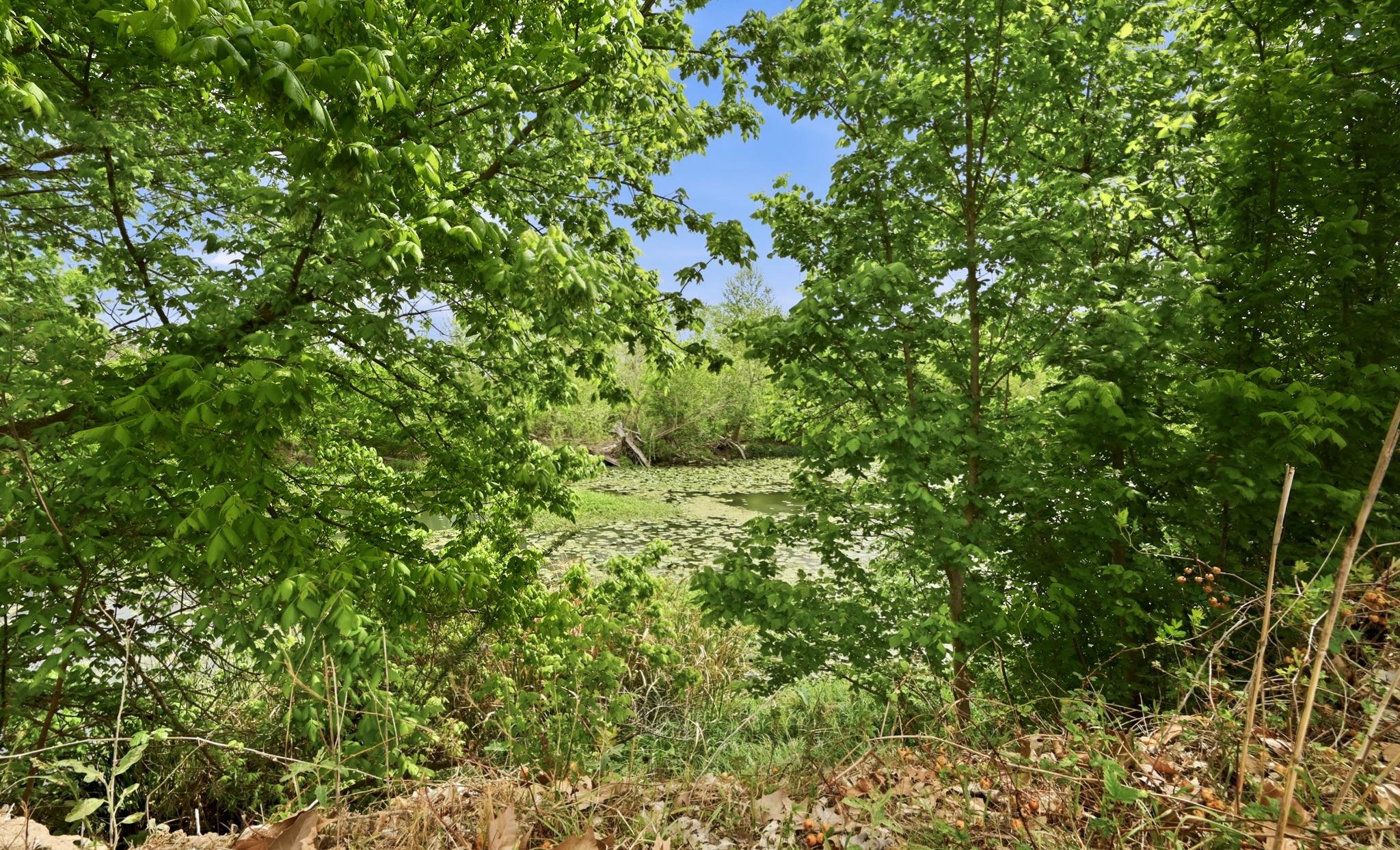 3500 Scull Rd, Martindale, TX 78655