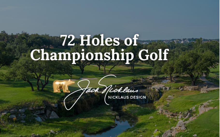 3 Crabapple Ct, The Hills, TX 78738