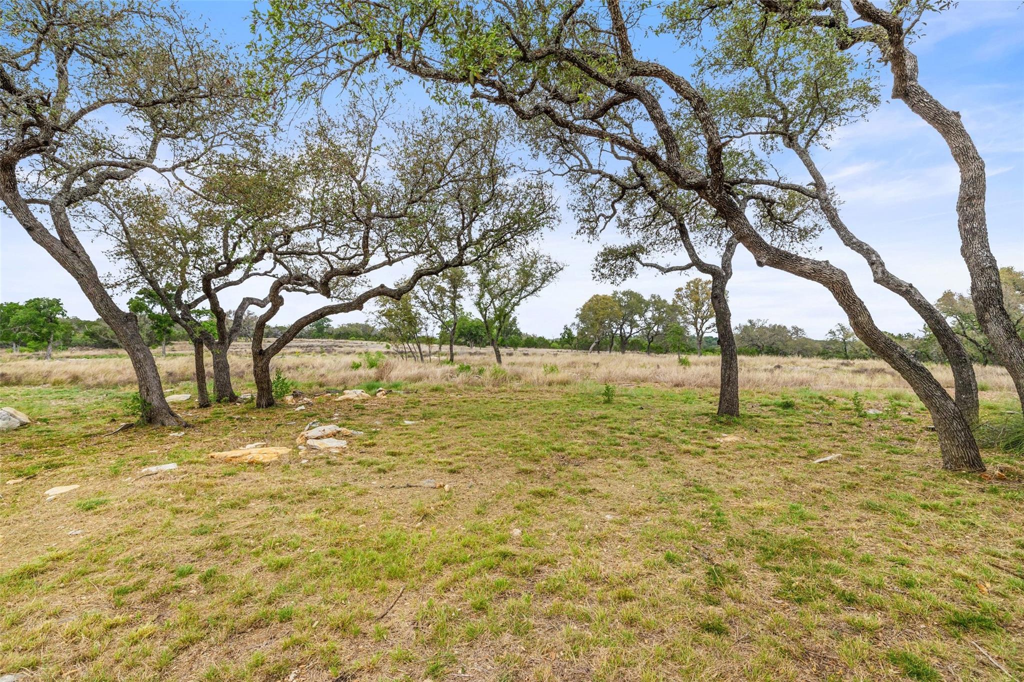 889 Brock Hollow Dr, Johnson City, TX 78636