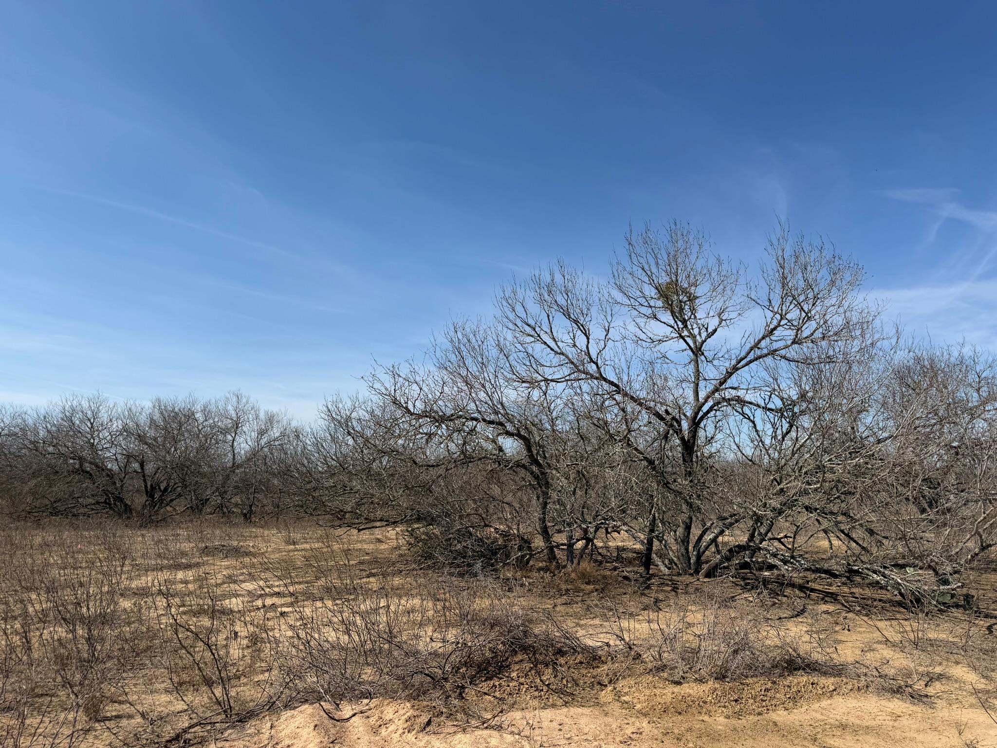 1420 Barth Rd, Dale, TX 78616