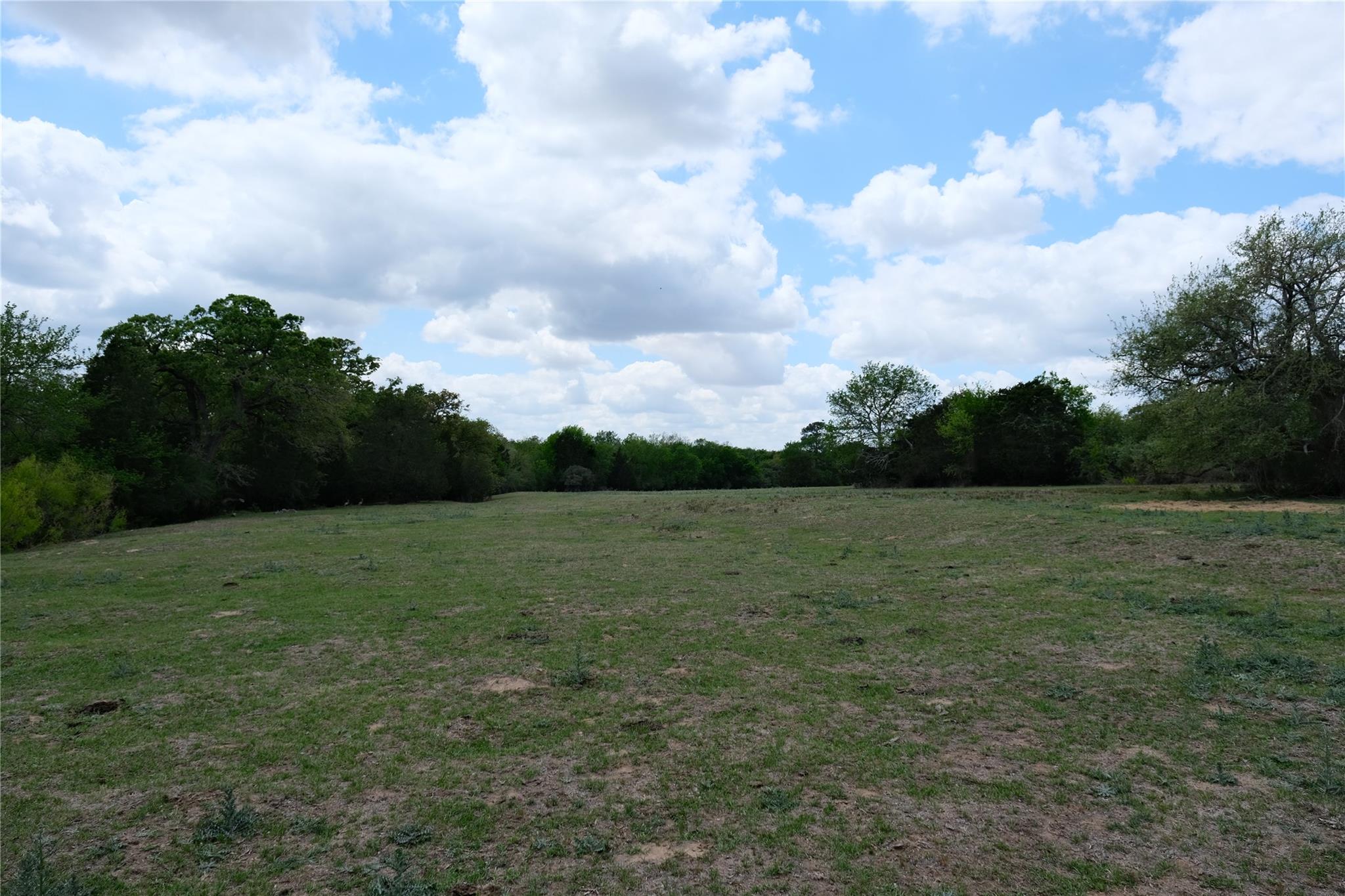 446 Herron Trl, McDade, TX 78650
