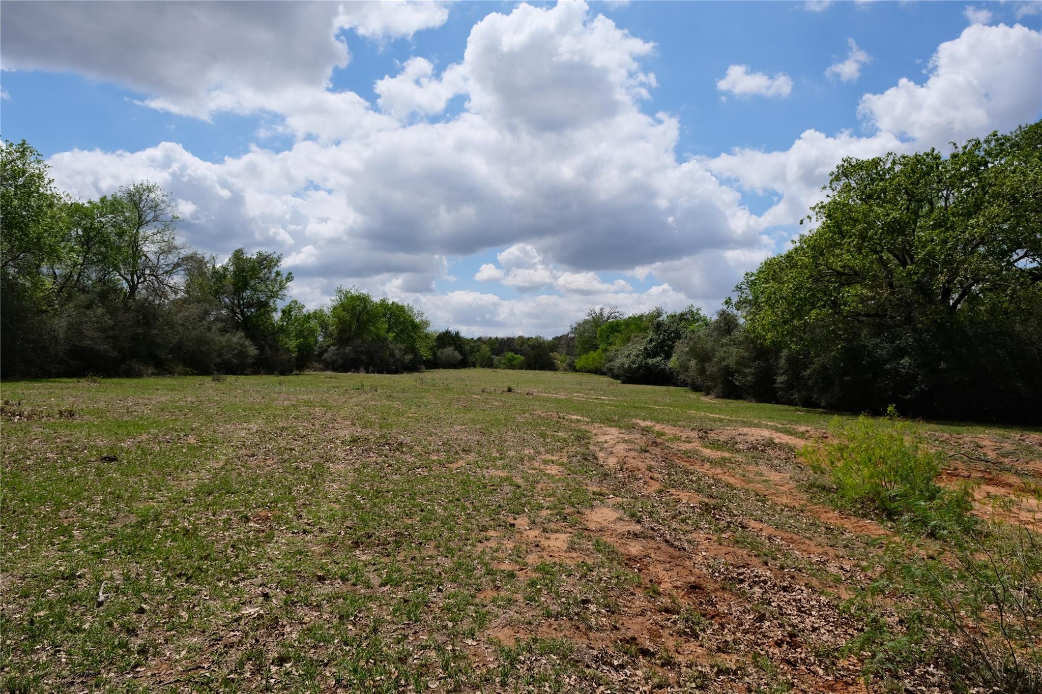 446 Herron Trl, McDade, TX 78650