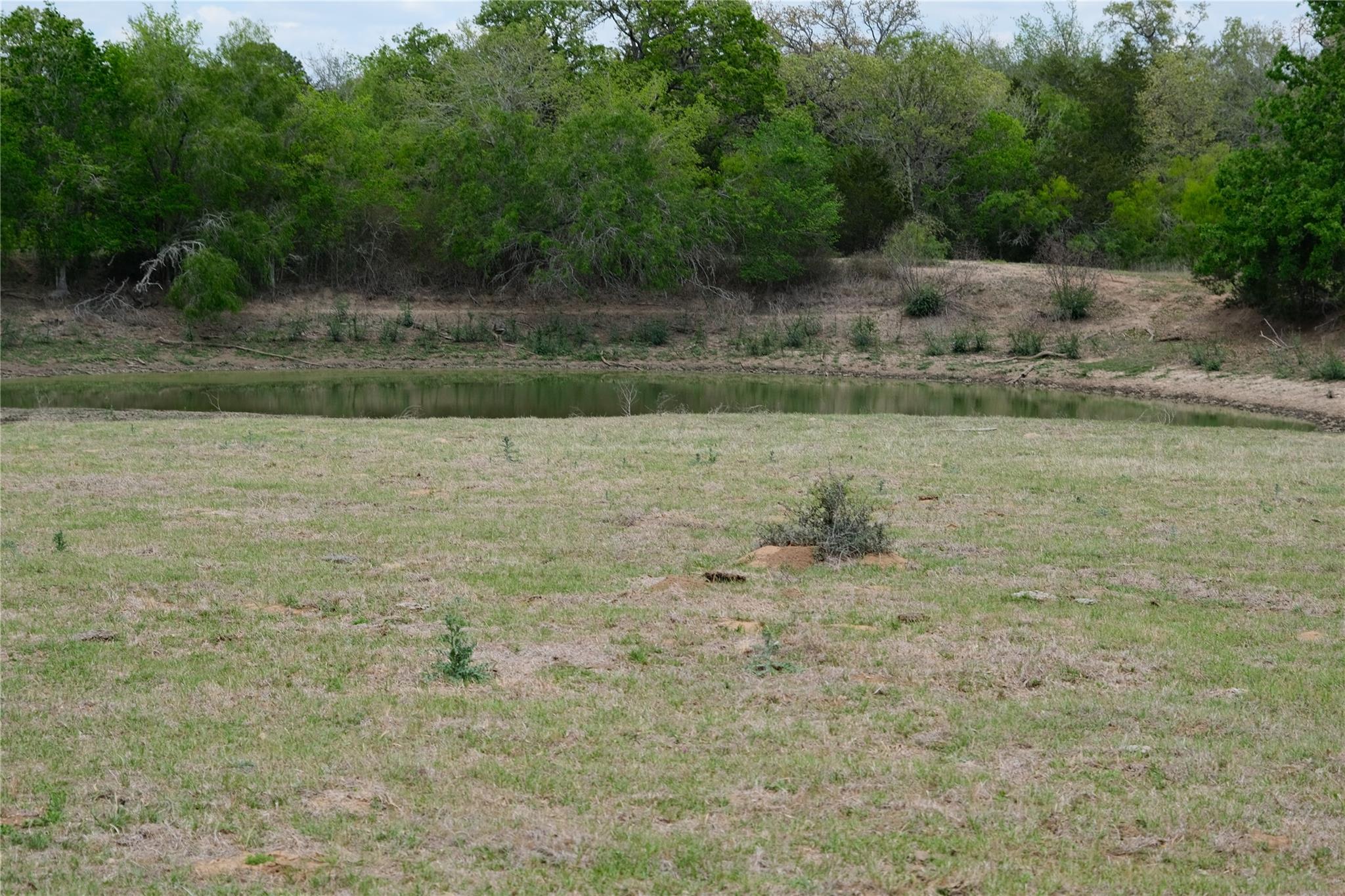 446 Herron Trl, McDade, TX 78650