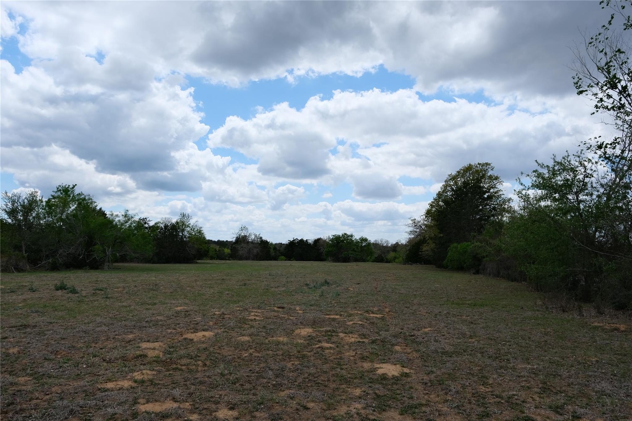 446 Herron Trl, McDade, TX 78650