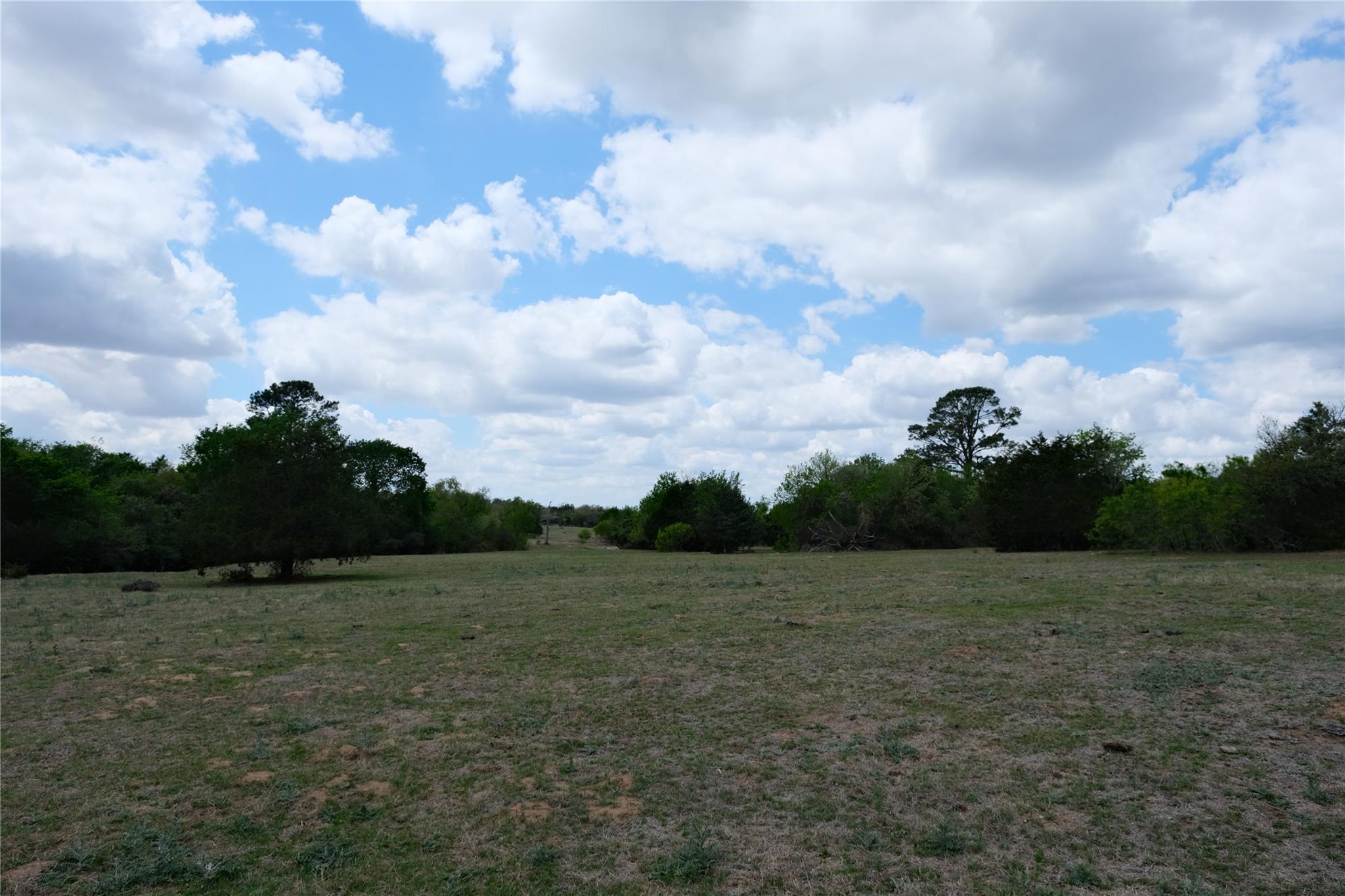 446 Herron Trl, McDade, TX 78650