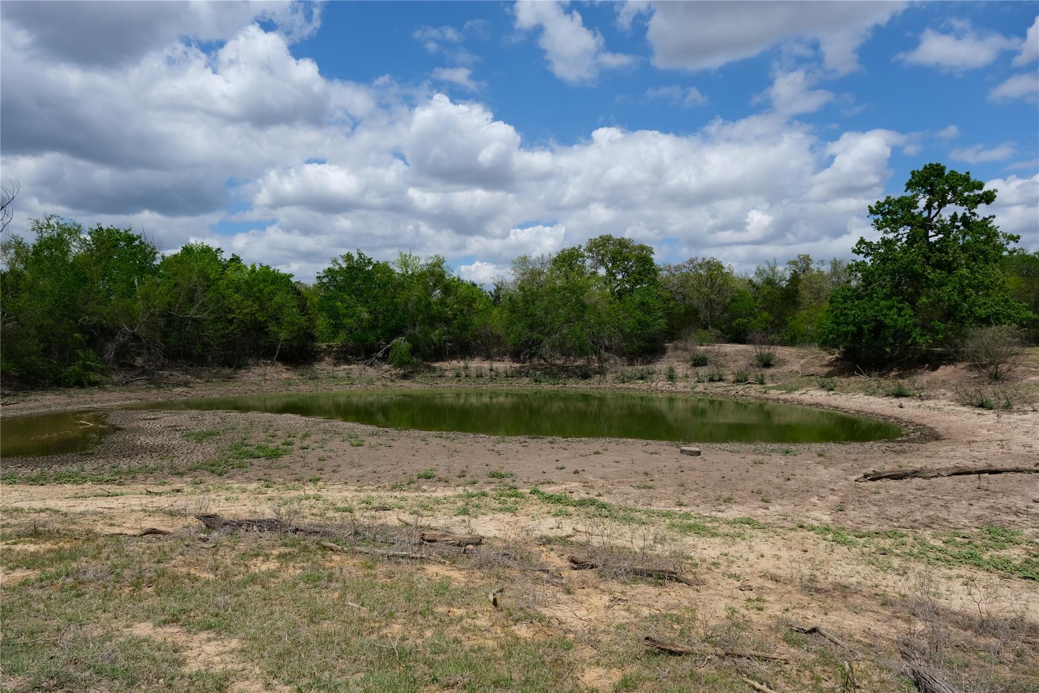 446 Herron Trl, McDade, TX 78650