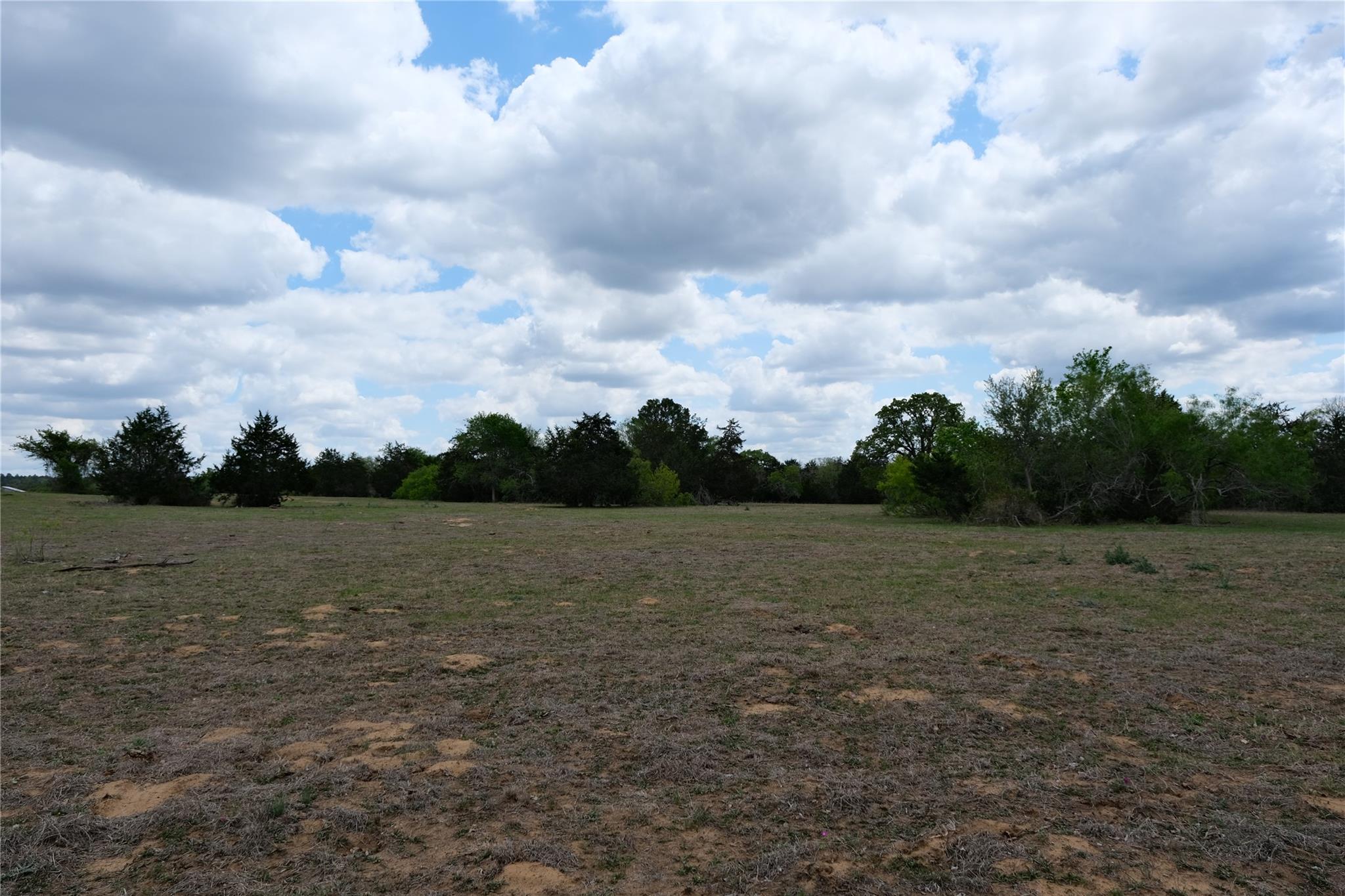 446 Herron Trl, McDade, TX 78650