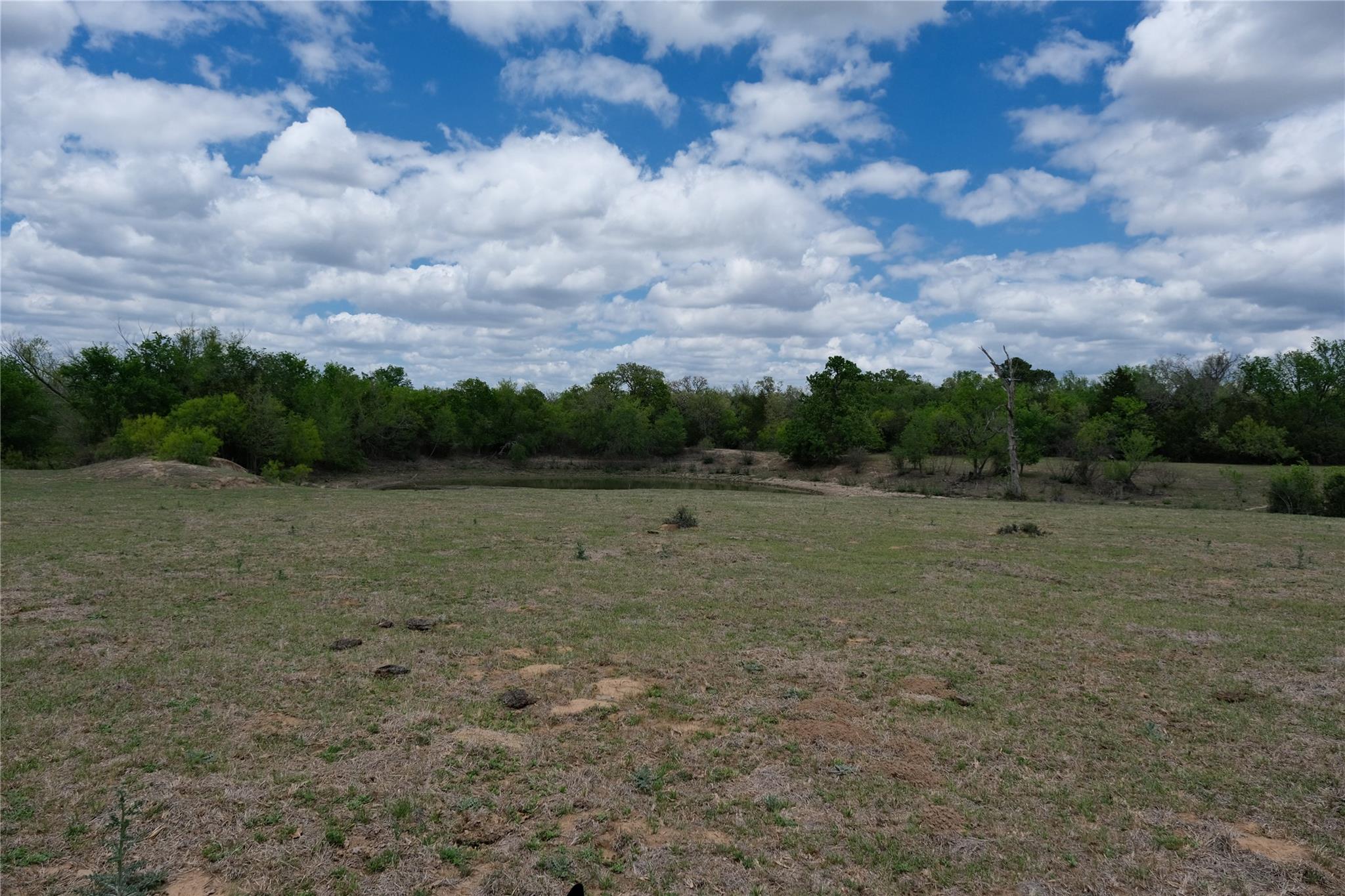 446 Herron Trl, McDade, TX 78650