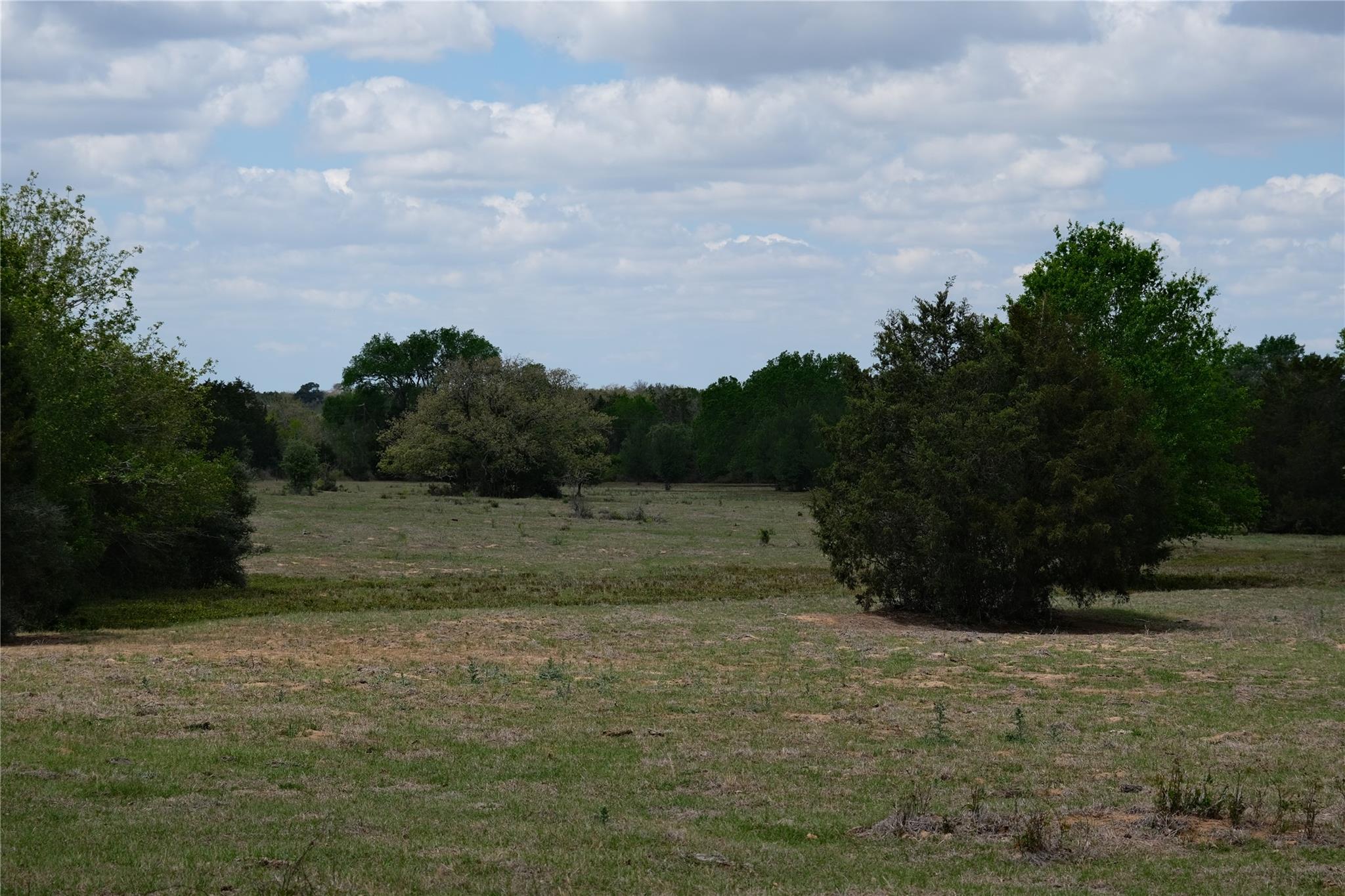 446 Herron Trl, McDade, TX 78650