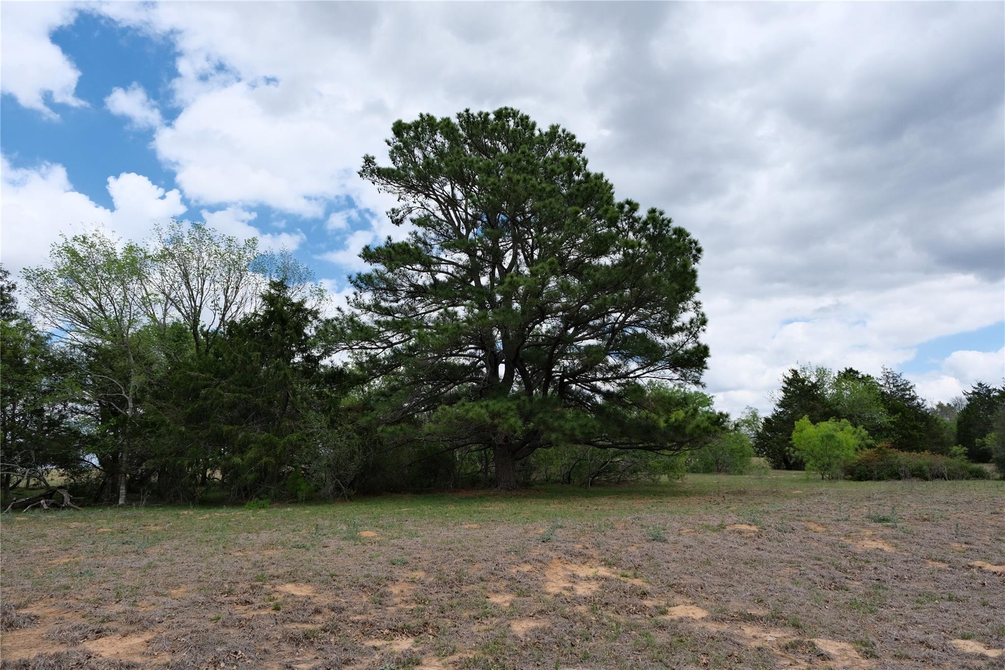 446 Herron Trl, McDade, TX 78650