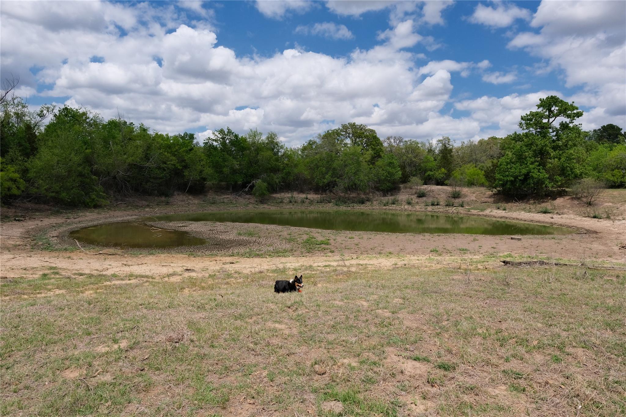 446 Herron Trl, McDade, TX 78650