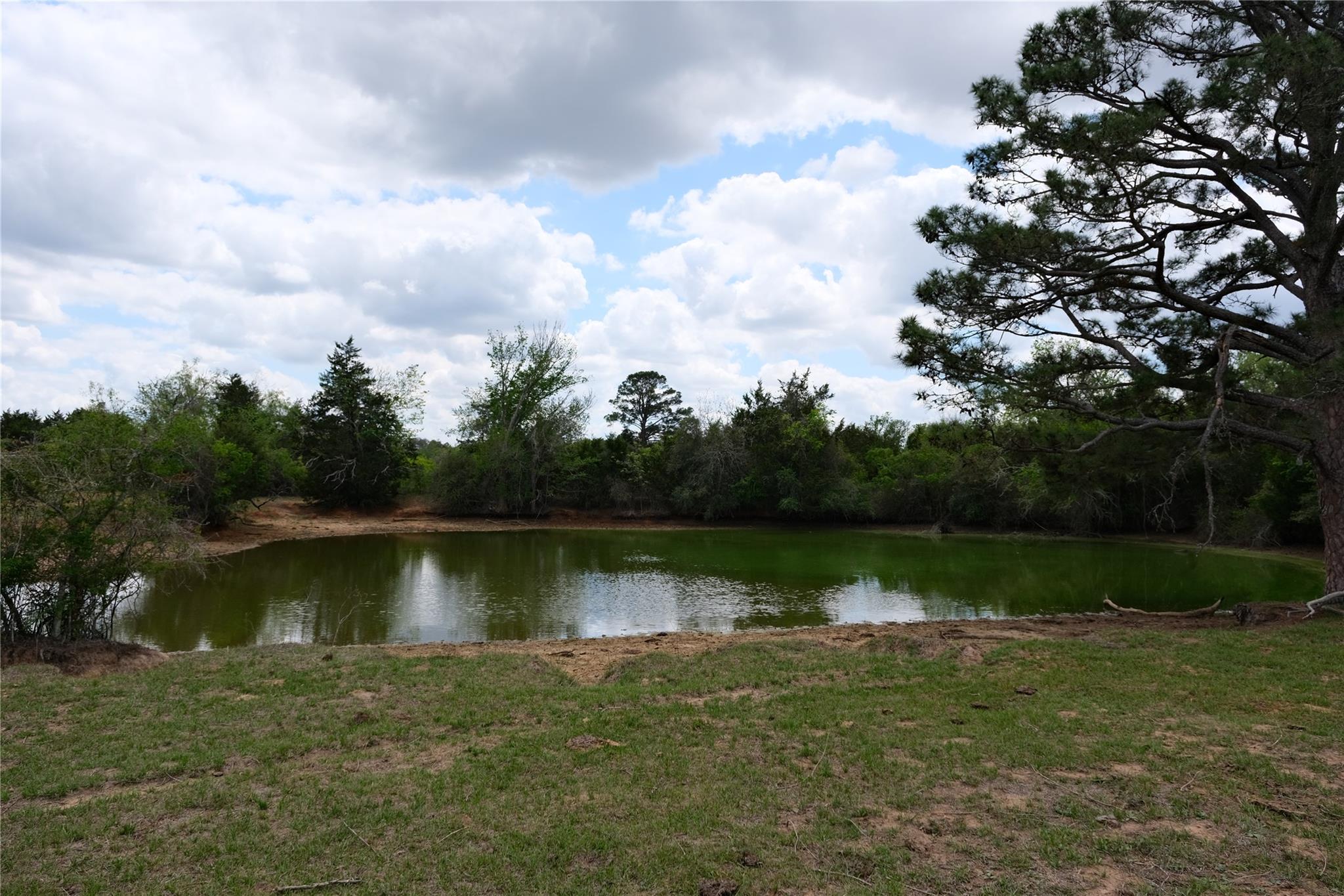 446 Herron Trl, McDade, TX 78650