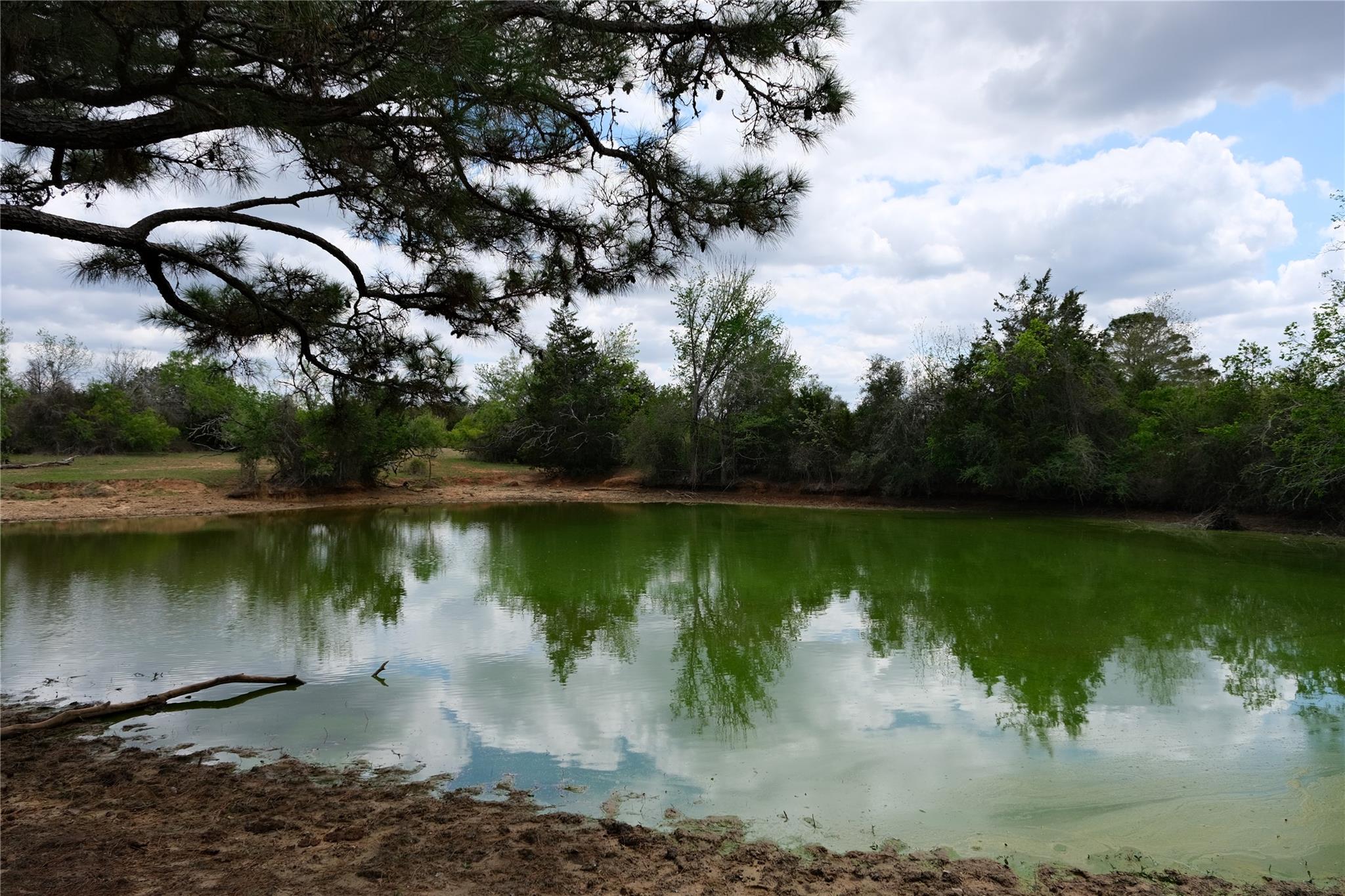 446 Herron Trl, McDade, TX 78650