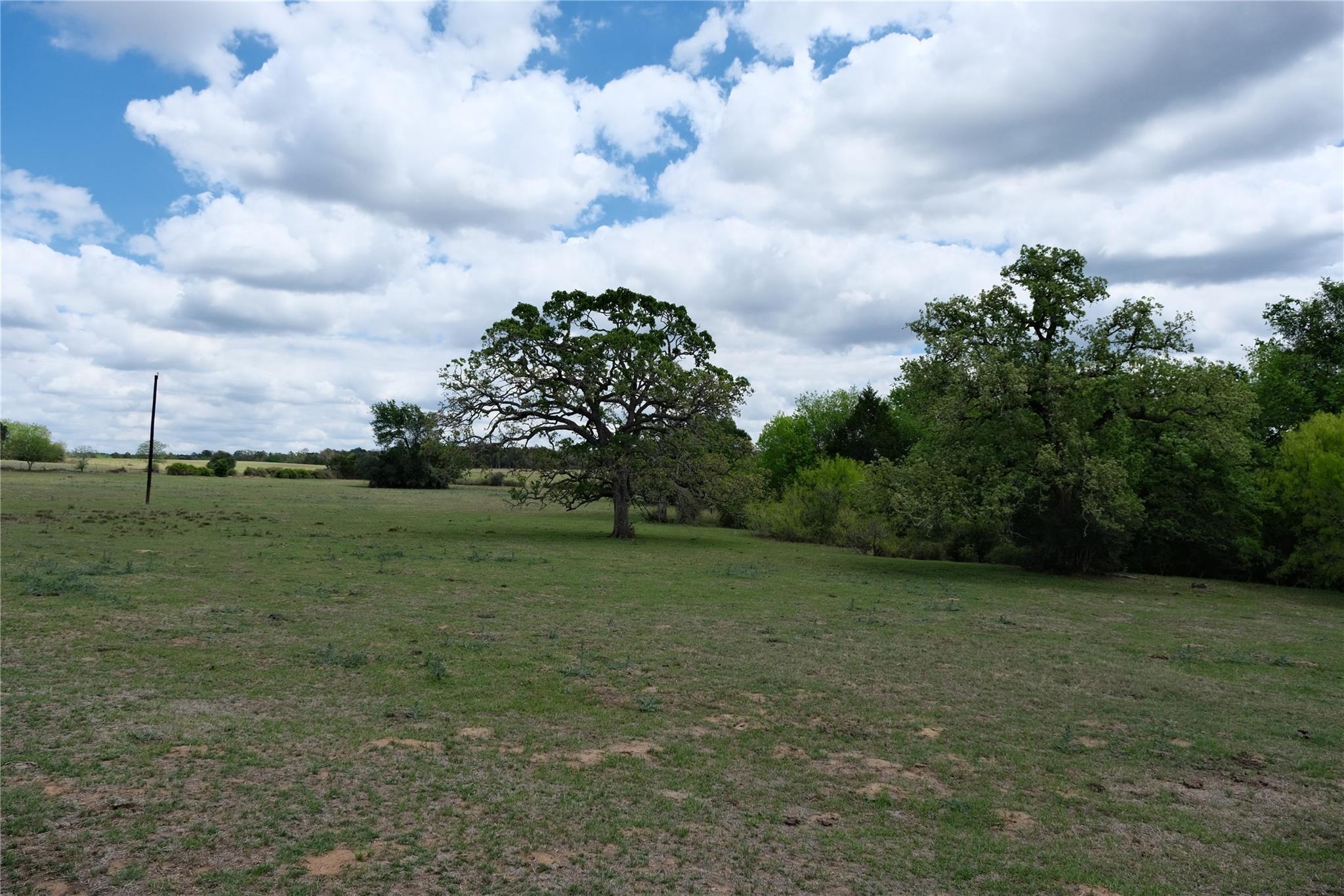 446 Herron Trl, McDade, TX 78650