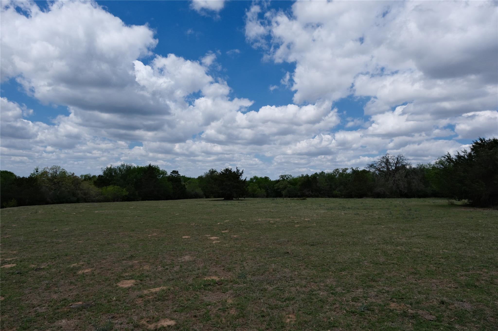 446 Herron Trl, McDade, TX 78650