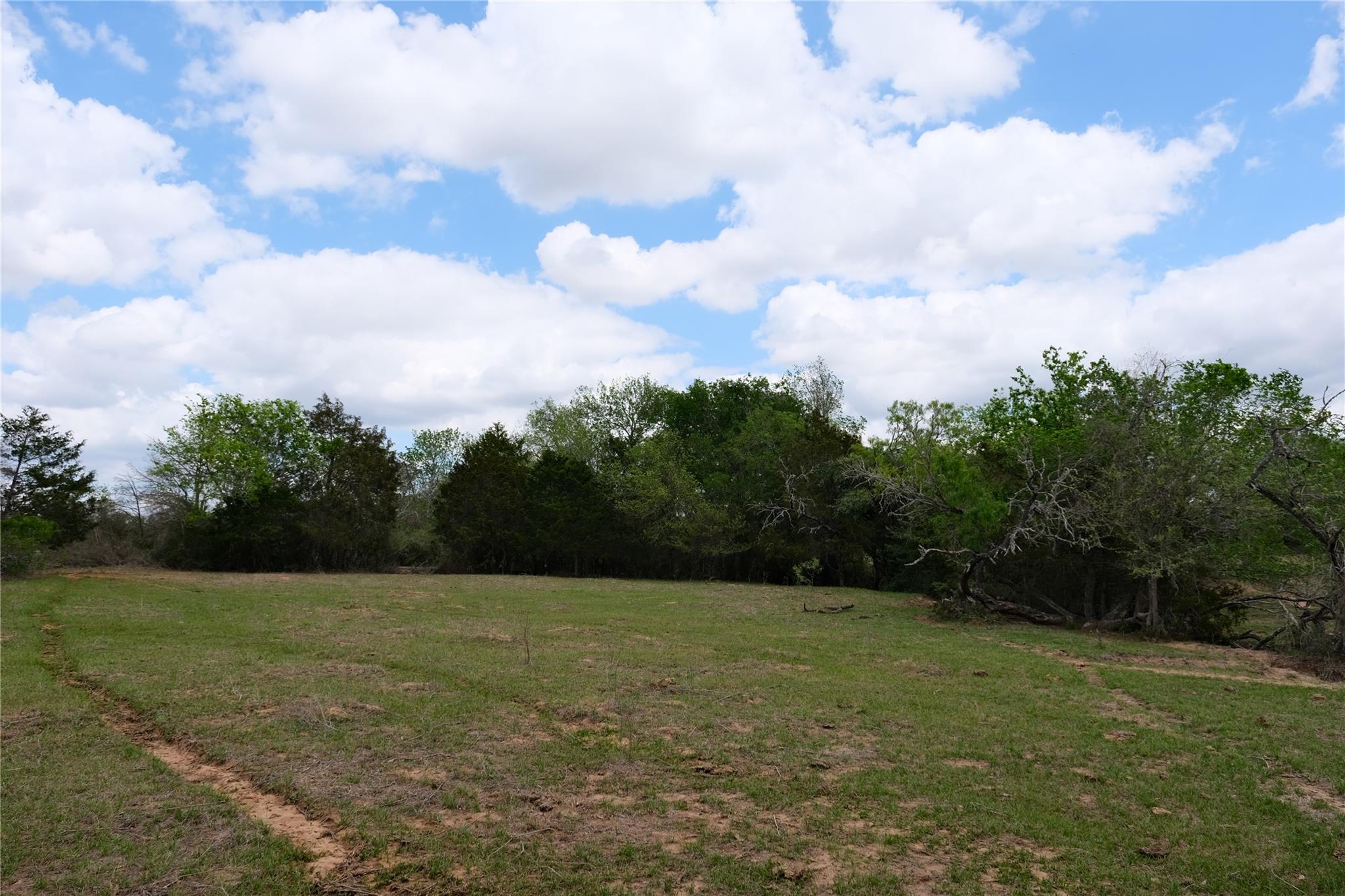 446 Herron Trl, McDade, TX 78650