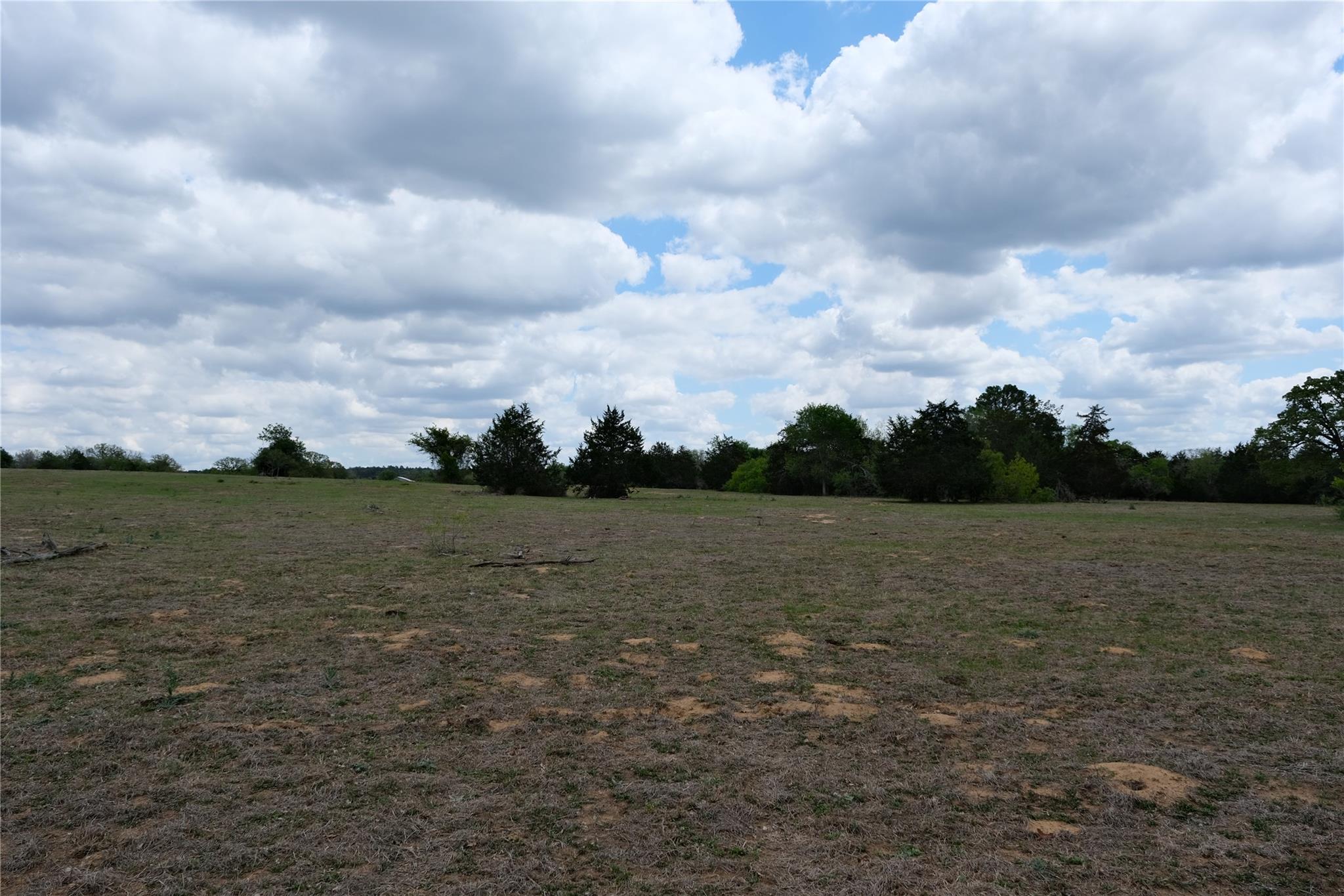 446 Herron Trl, McDade, TX 78650