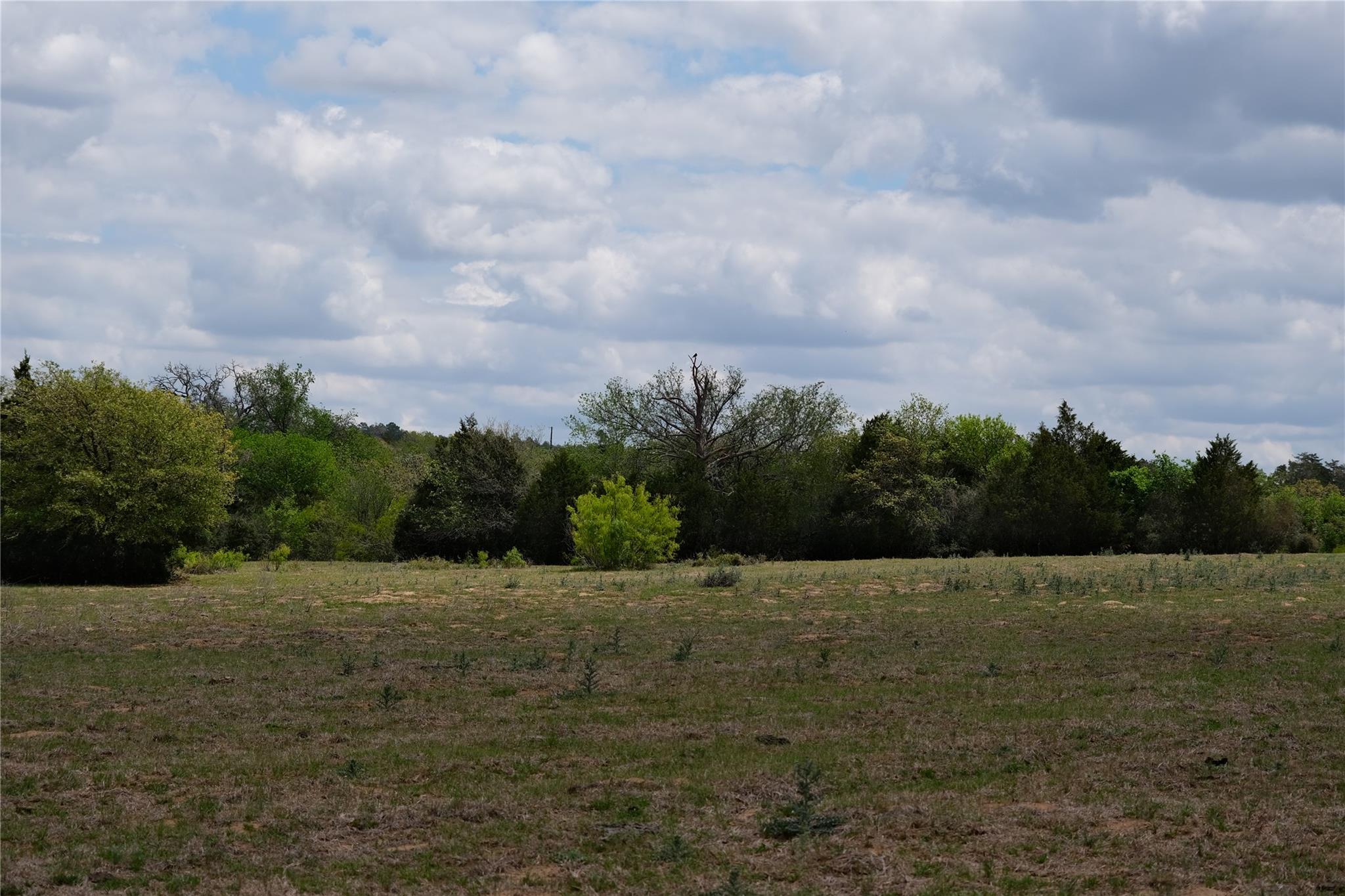 446 Herron Trl, McDade, TX 78650