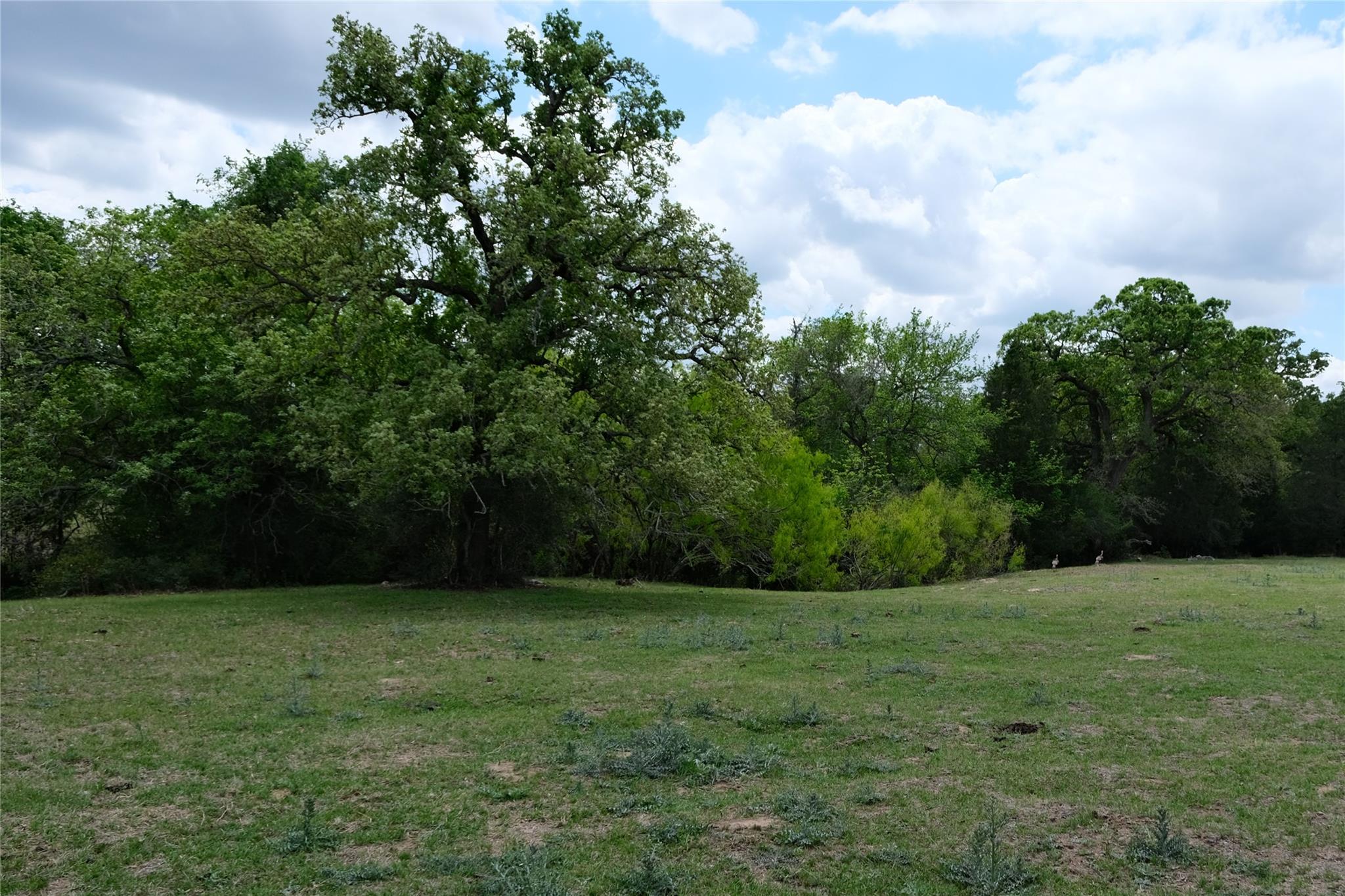 446 Herron Trl, McDade, TX 78650