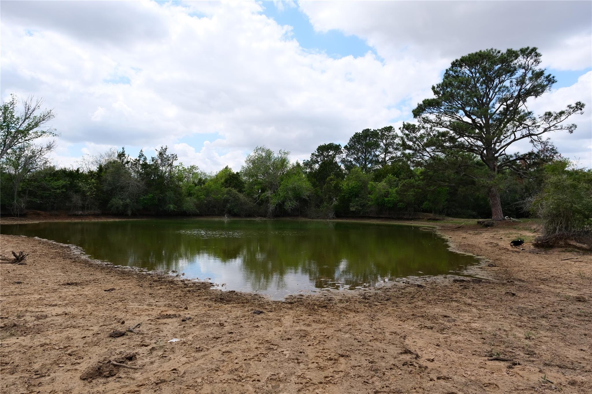 446 Herron Trl, McDade, TX 78650