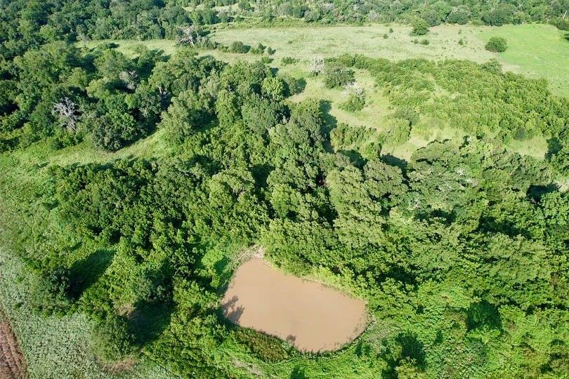 TBD HWY 77, Lexington, TX 78947