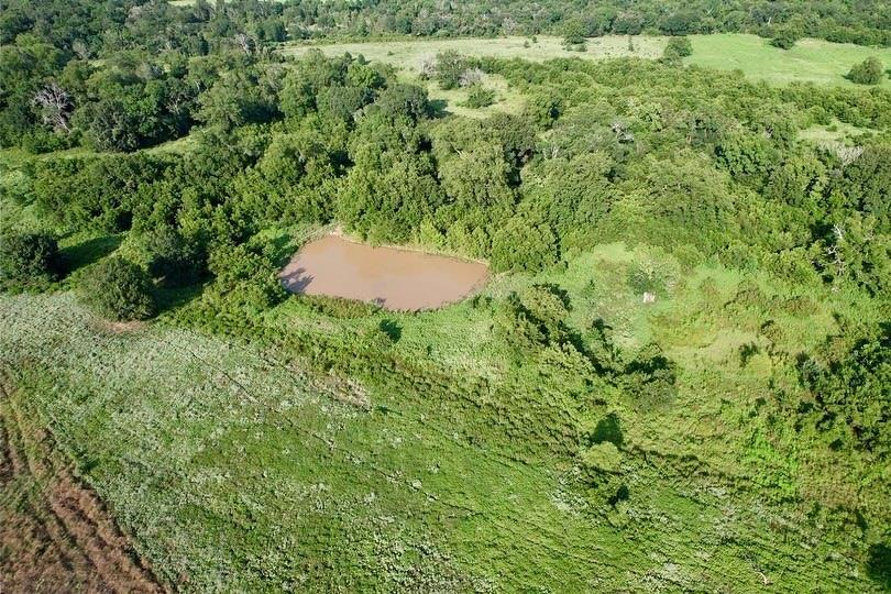 TBD HWY 77, Lexington, TX 78947