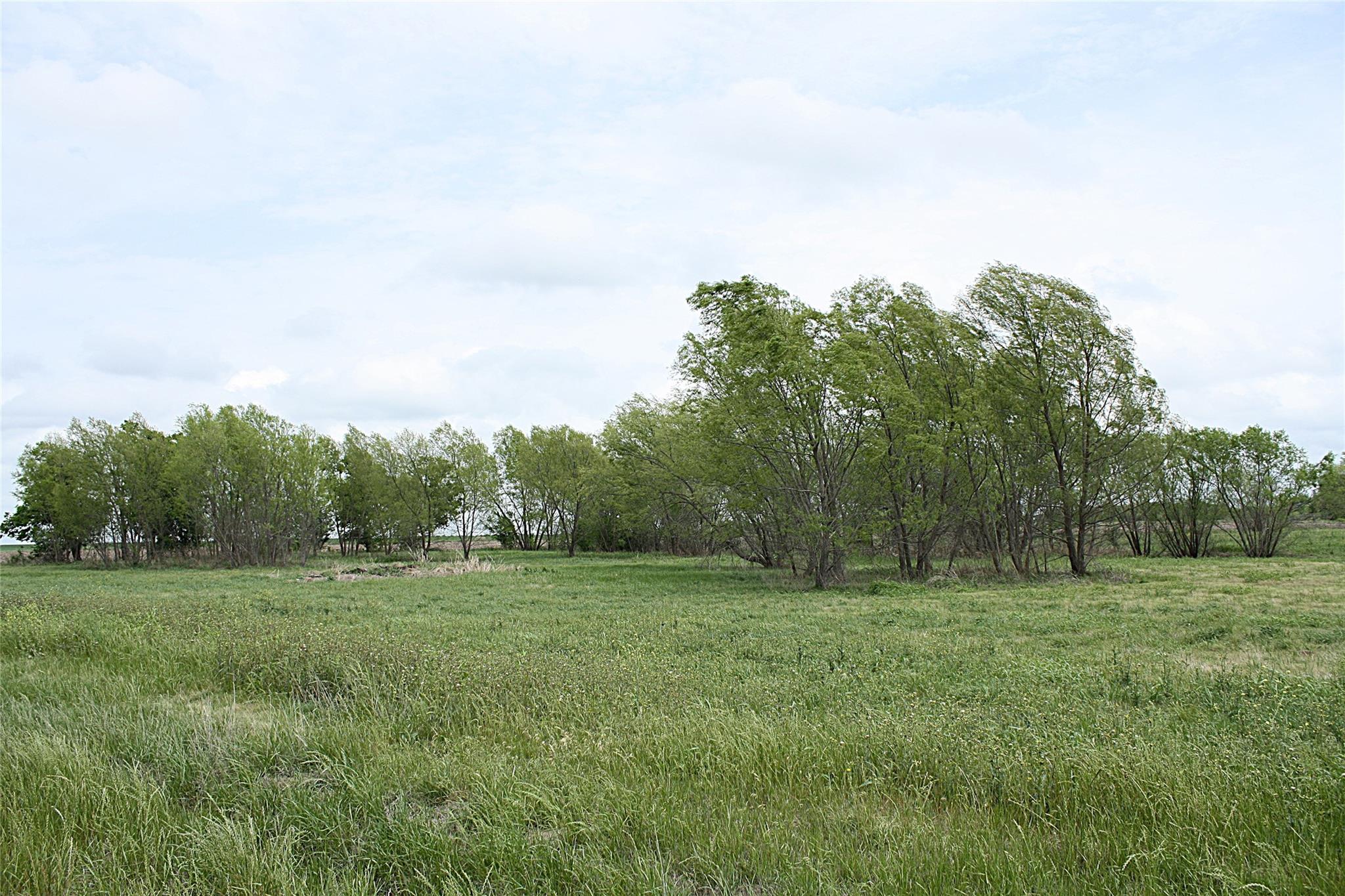 19374 Pennington Branch Rd, Holland, TX 76534