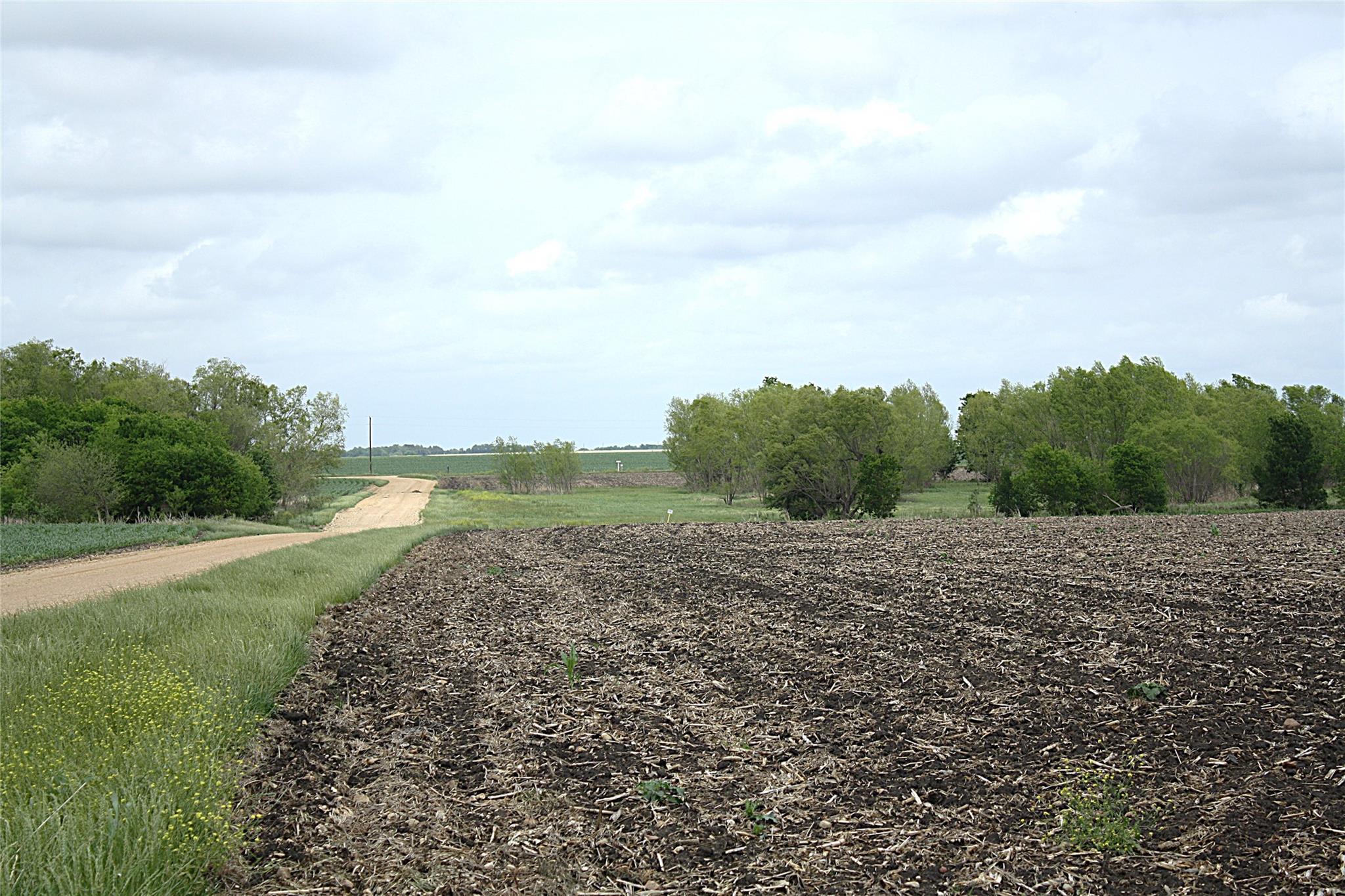 19374 Pennington Branch Rd, Holland, TX 76534